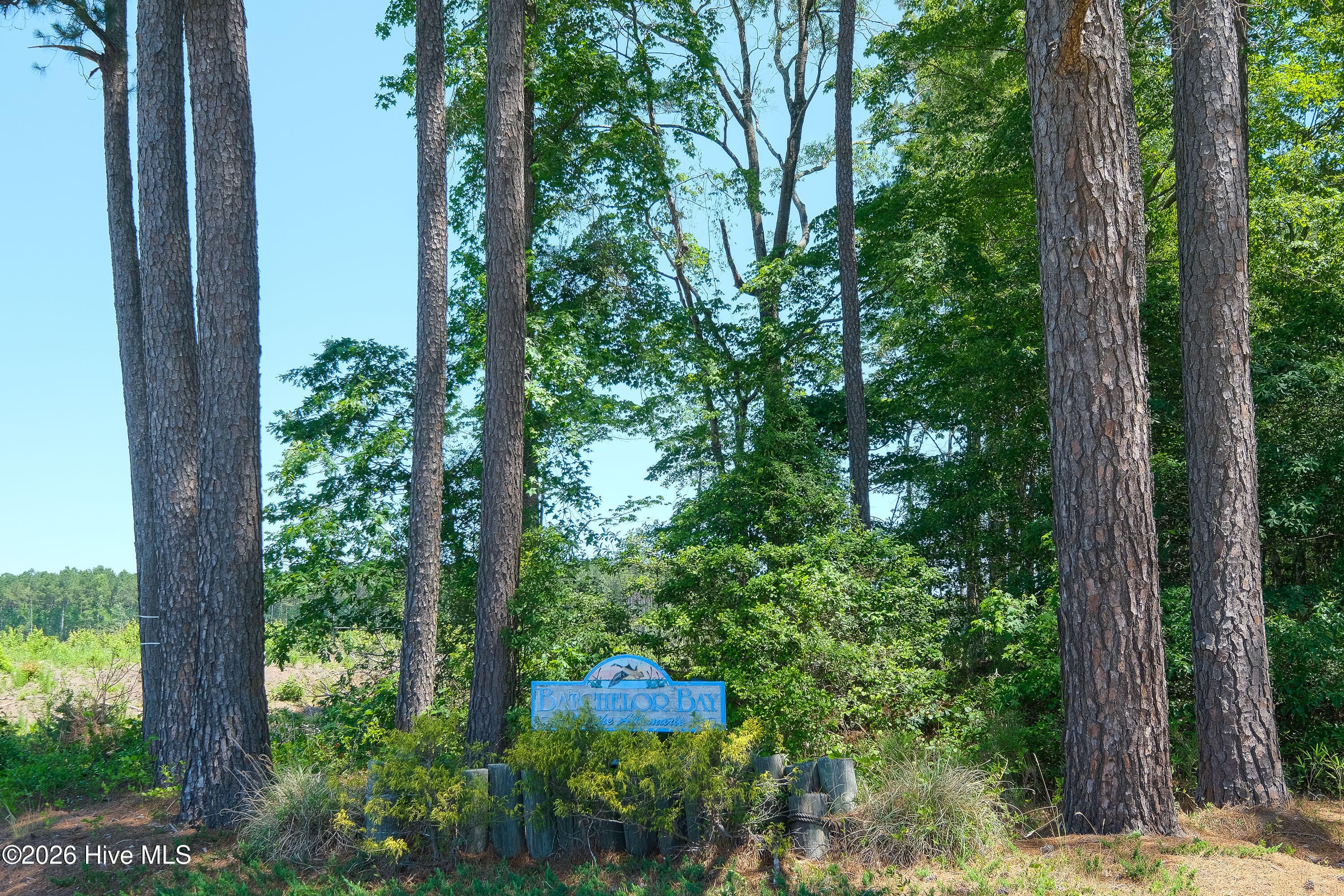 Residential Lot at 462 Batchelor Bay Drive, Windsor, NC 27983, photo 7 of 13