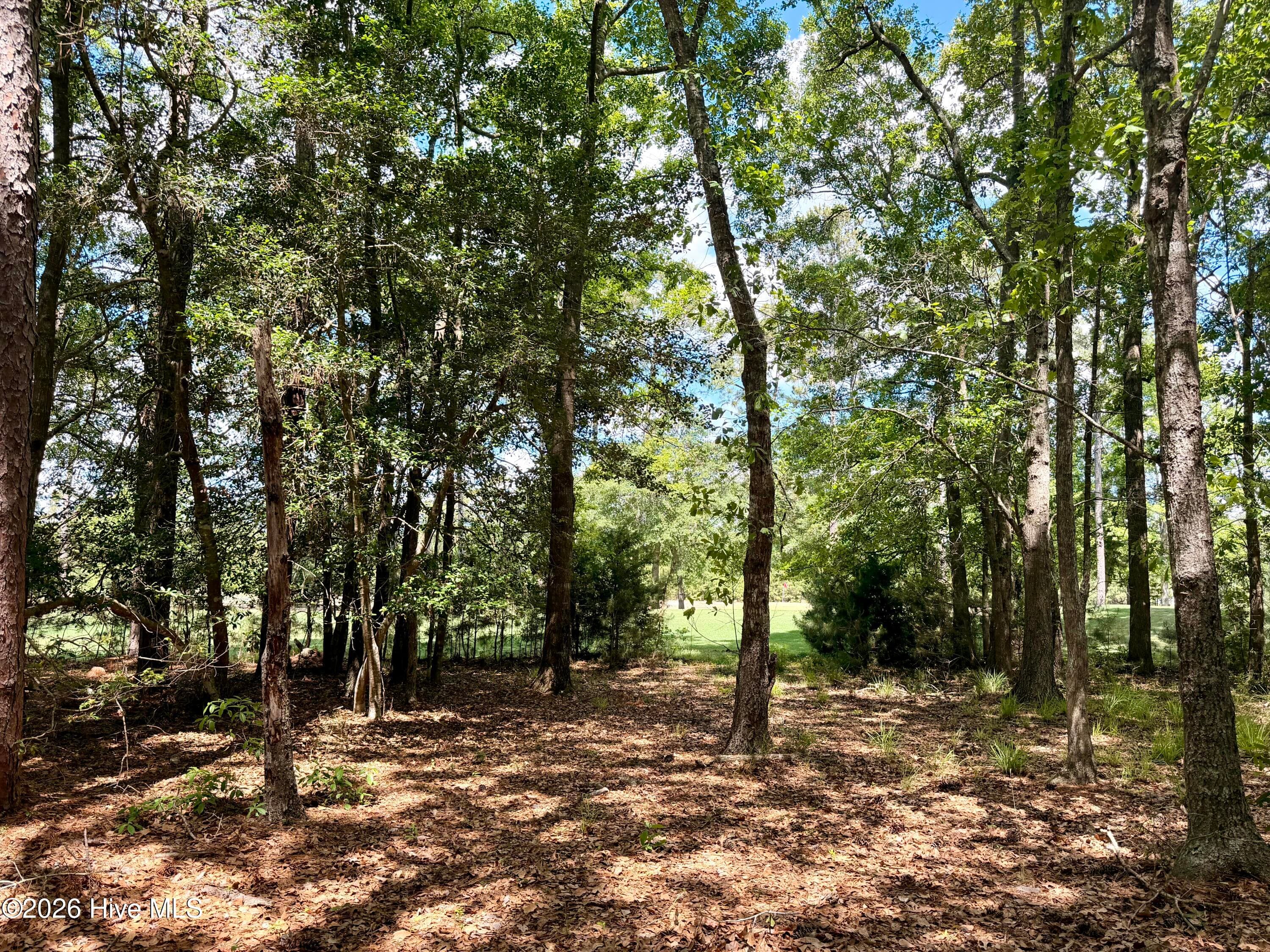 Undeveloped at 2054 2 Arnold Palmer Drive, Shallotte, NC 28470, photo 5 of 15