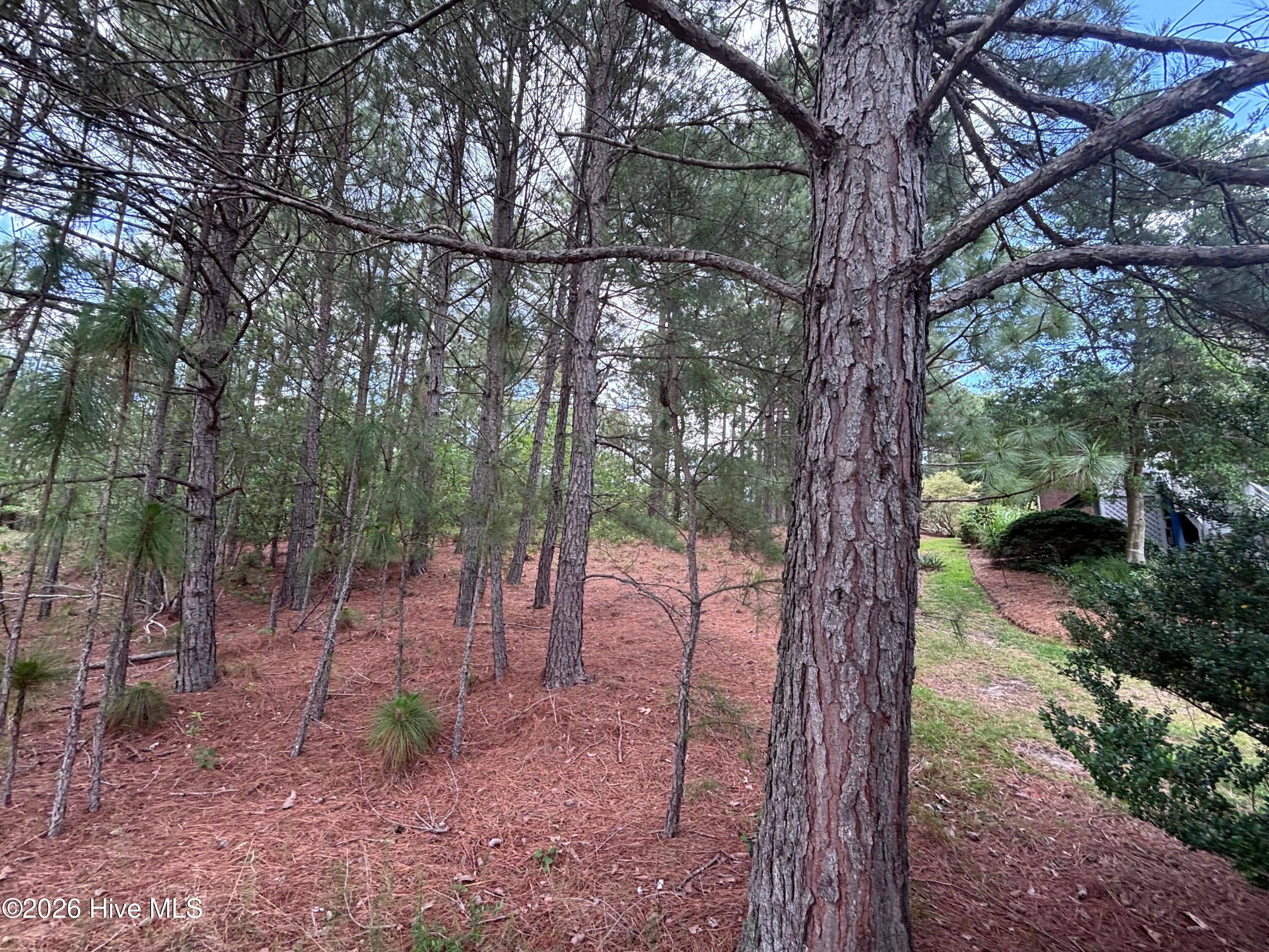 Residential Lot at 111 Callis Circle, West End, NC 27376, photo 18 of 18