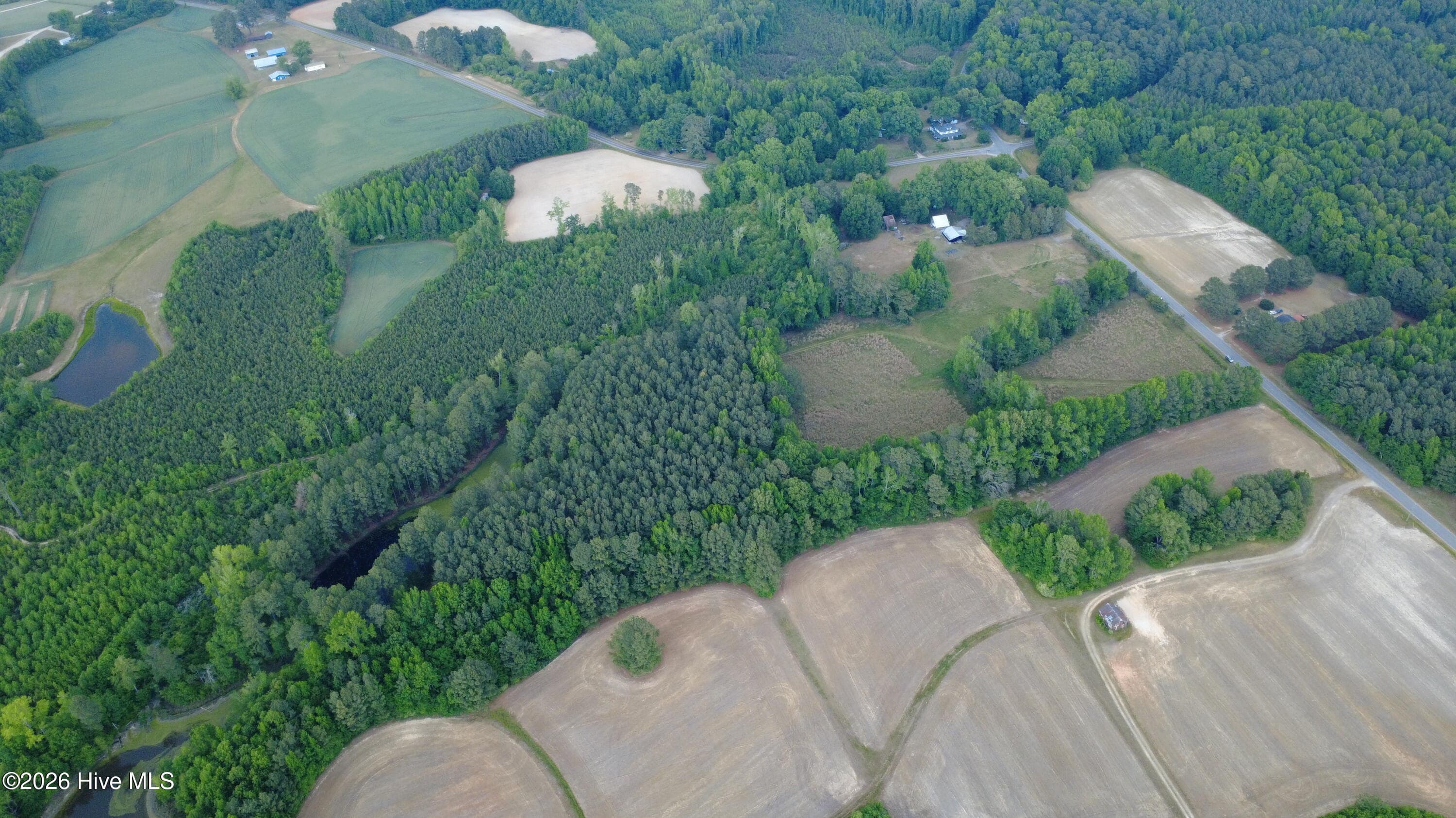 Main parcel with pond and cabin. - 5570 Lancaster Store Road, Spring Hope, NC 27882