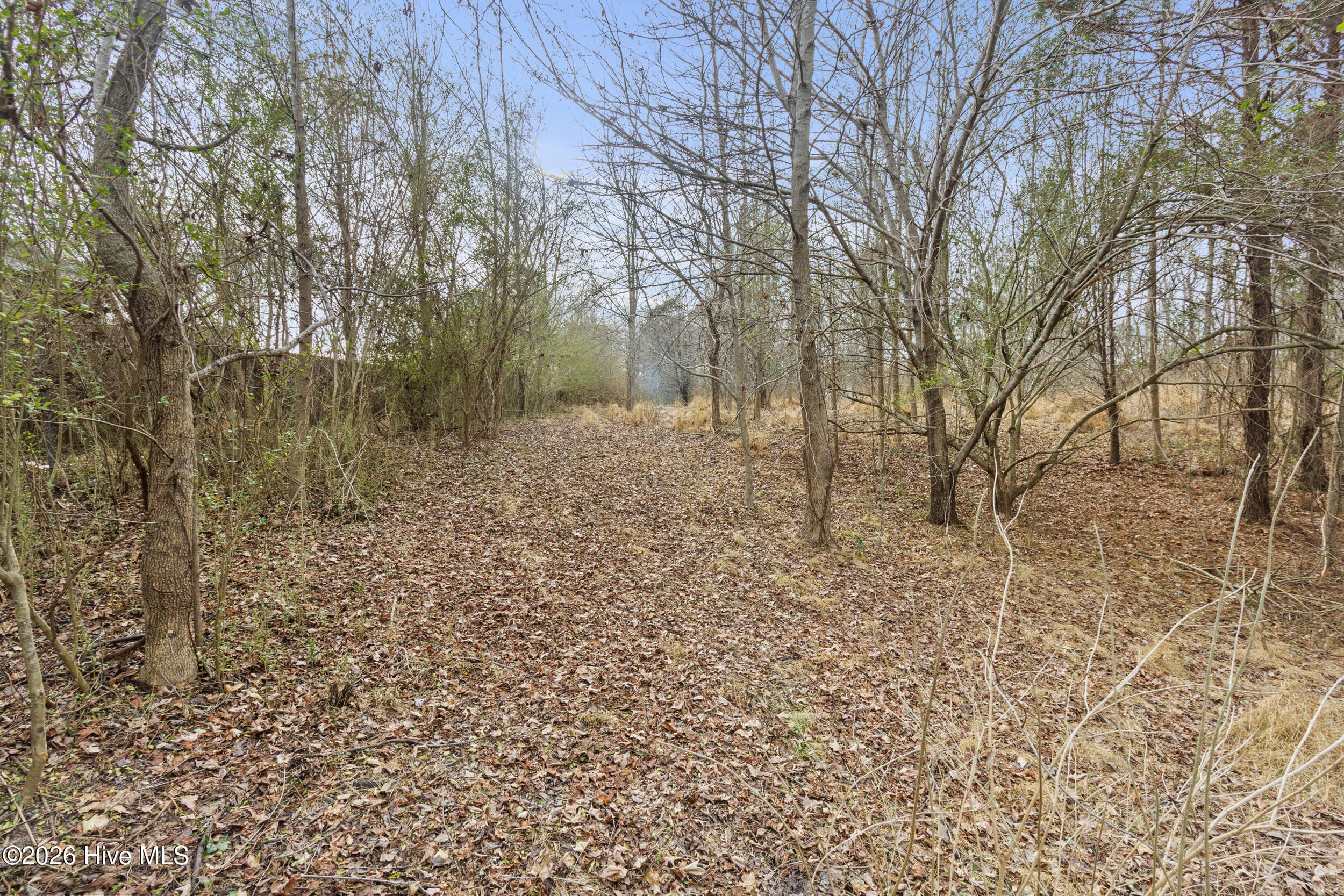 Undeveloped at 2711 Old Airport Road, New Bern, NC 28562, photo 18 of 23