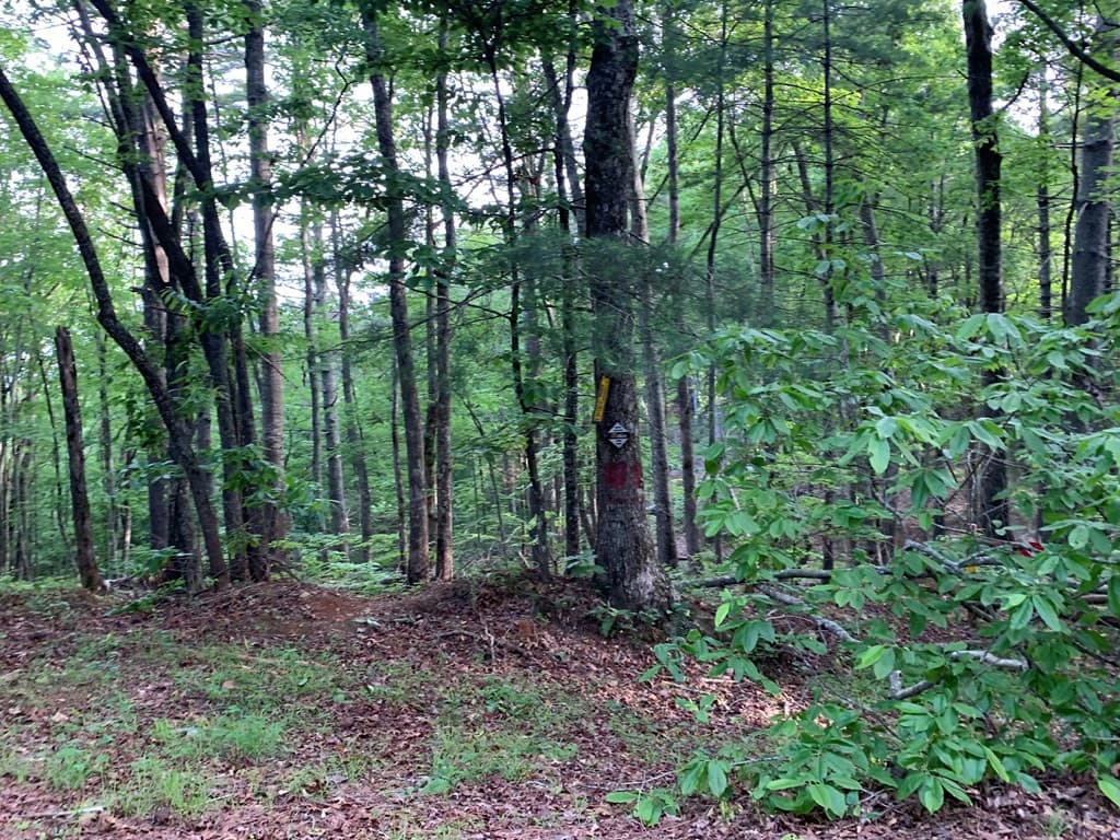 Land at Lot 43 Kestrel Ridge Circle, Murphy, NC 28906, photo 21 of 24