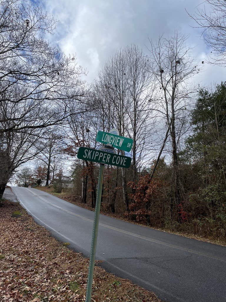 Land at na Skipper Lane, Hiawassee, GA 30546, photo 6 of 9