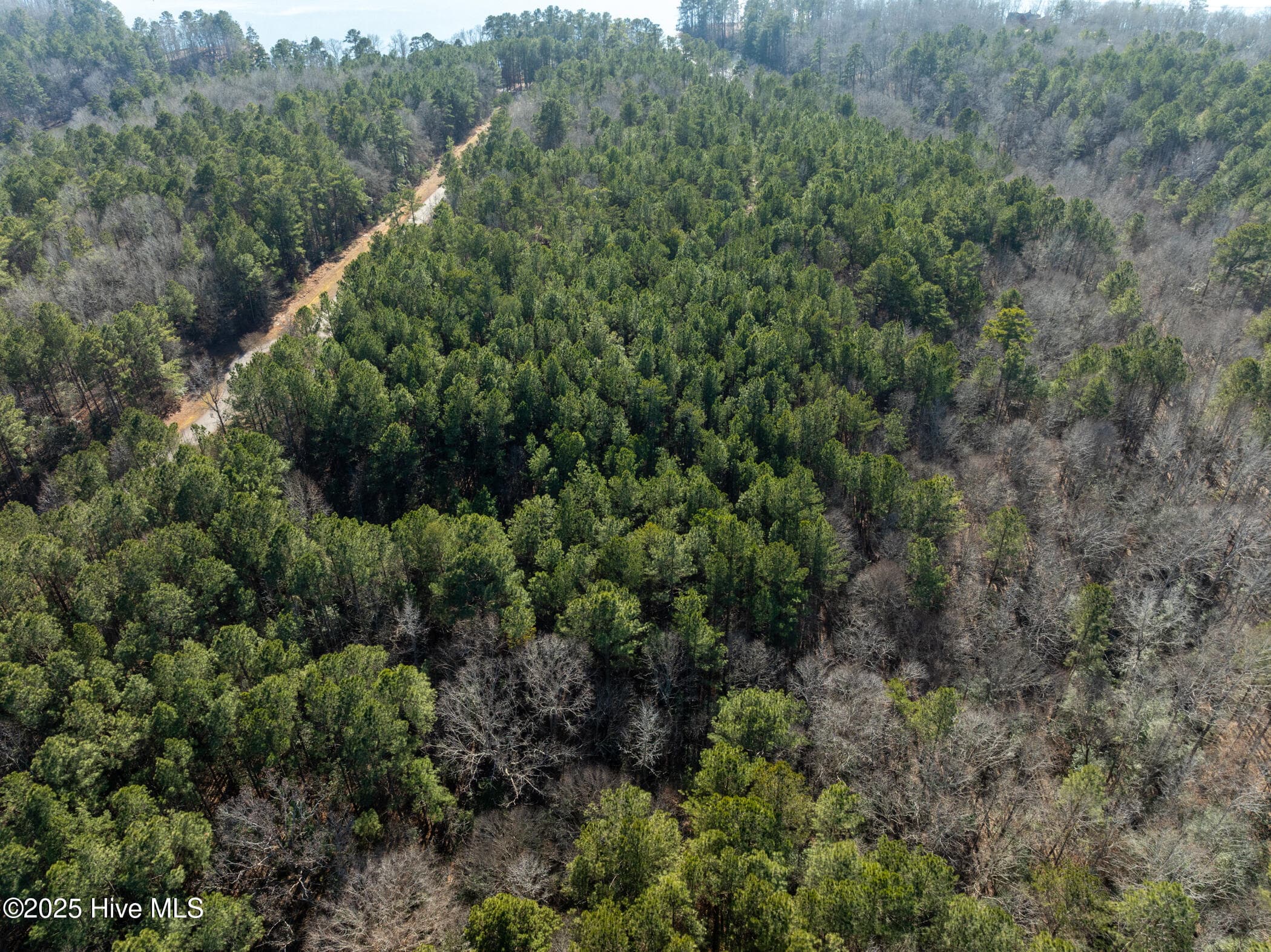 Residential Lot at 141 N State Lane, Rockingham, NC 28379, photo 12 of 17