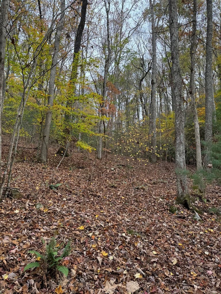Residential Lot at 00 92 Heritage Trail, Murphy, NC 28906, photo 8 of 8