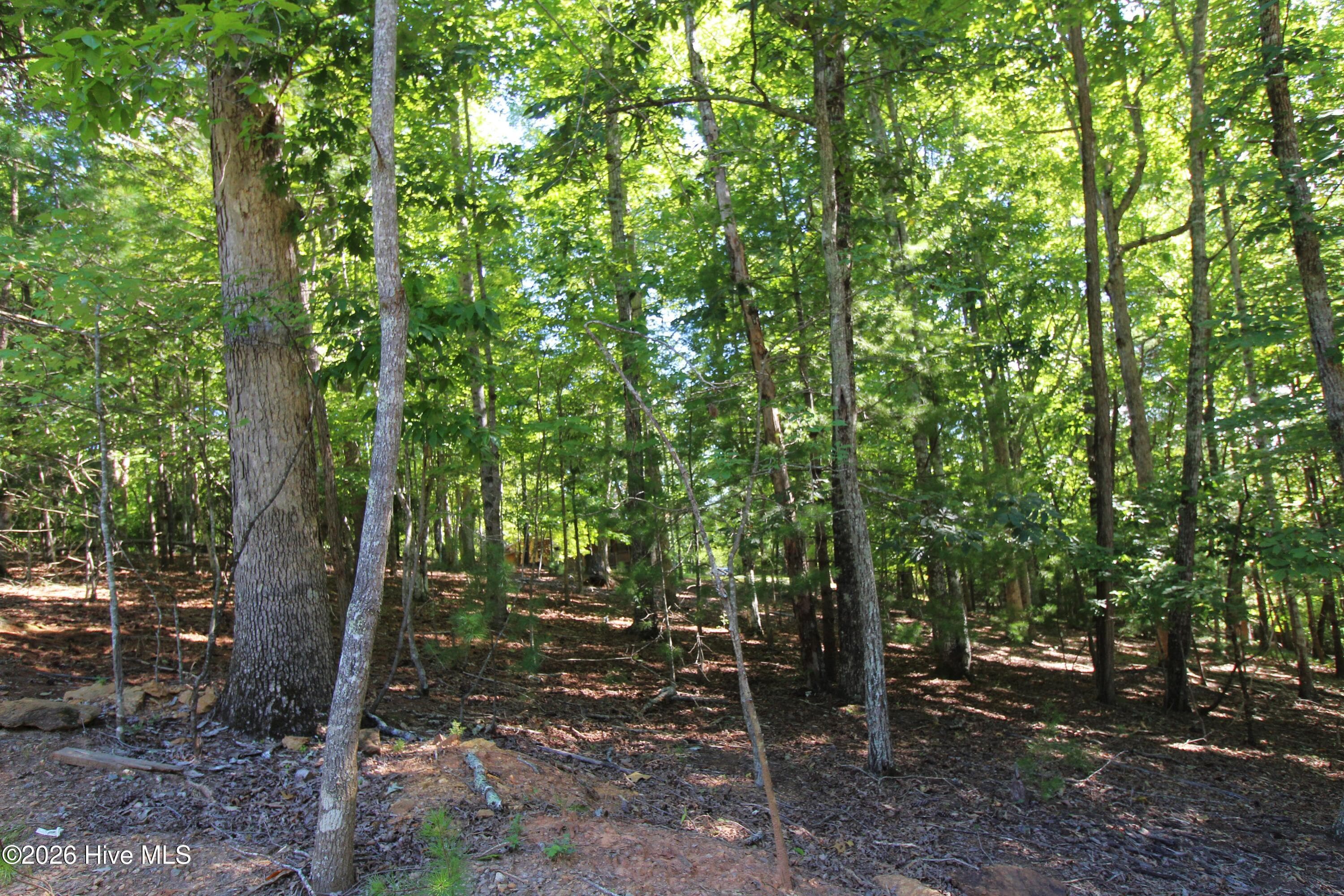 Wooded Lot Included - 46 Arthur Ridge, Brasstown, NC 28902