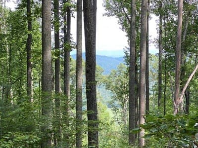 Lot 1 1 High Country Lane, Morganton, GA 30560
