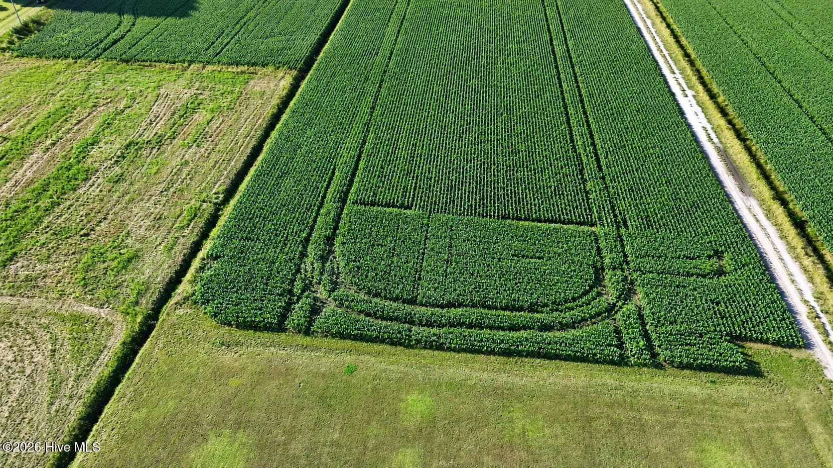 Agriculture at 617 1 Meadstown Road, Elizabeth City, NC 27909, photo 13 of 14