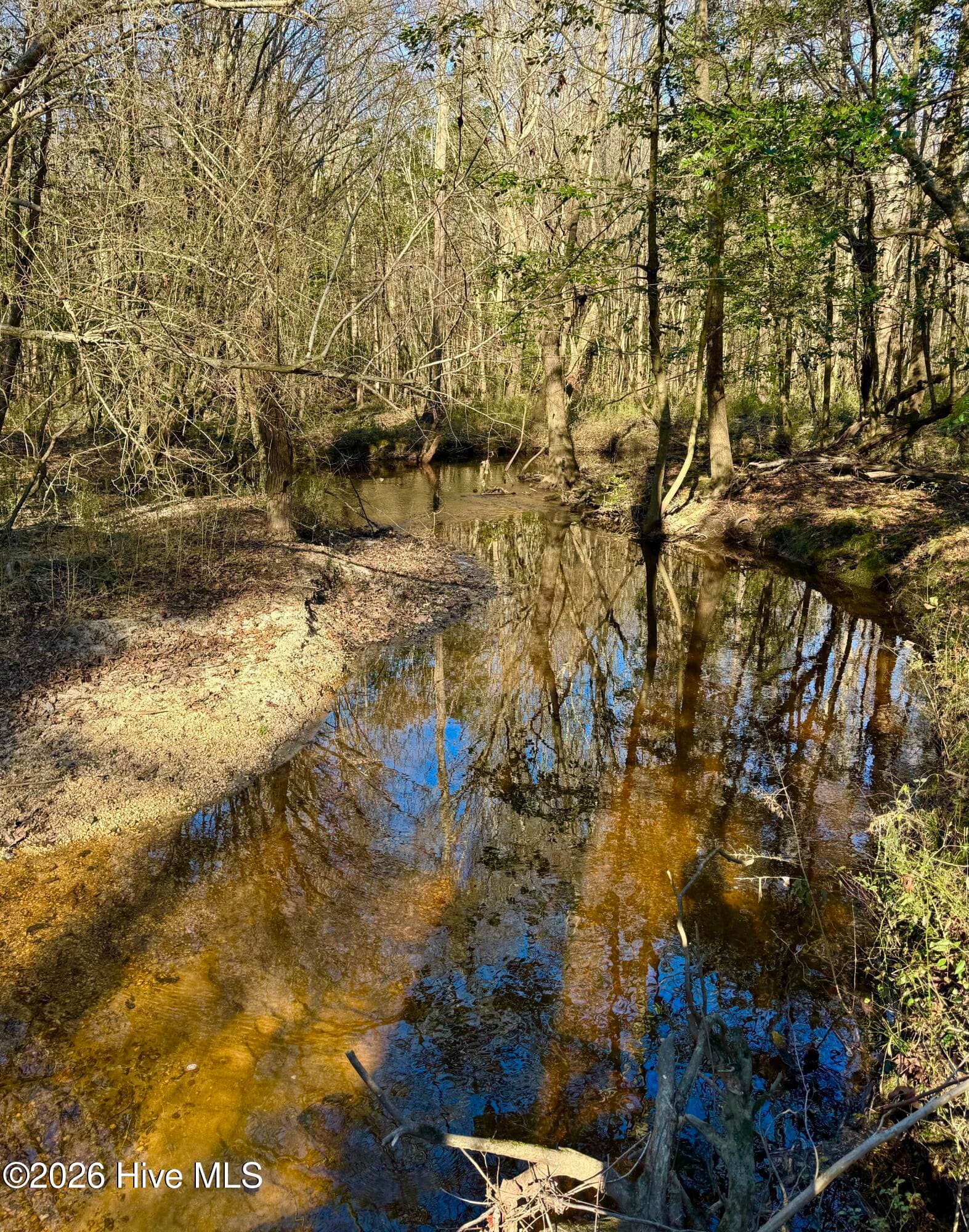 Wooded at 0 Fred Circle S, Kenly, NC 27542, photo 5 of 21