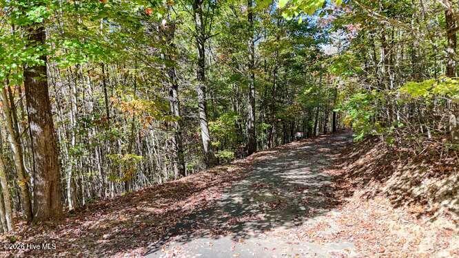 Residential Lot at 00 26 Lookout Point, Murphy, NC 28906, photo 2 of 10