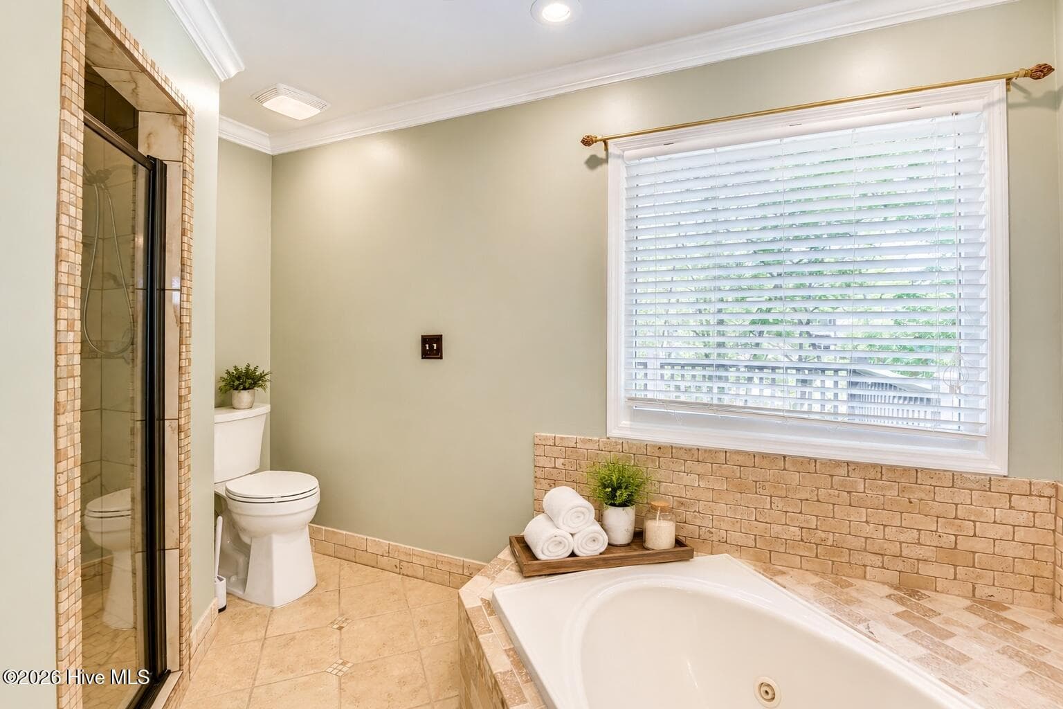 Master Bath features a relaxing jetted soaking tub, separate shower, and plenty of natural light for a calm, refreshed feel. - 16 Rapids Court, North Augusta, SC 29841