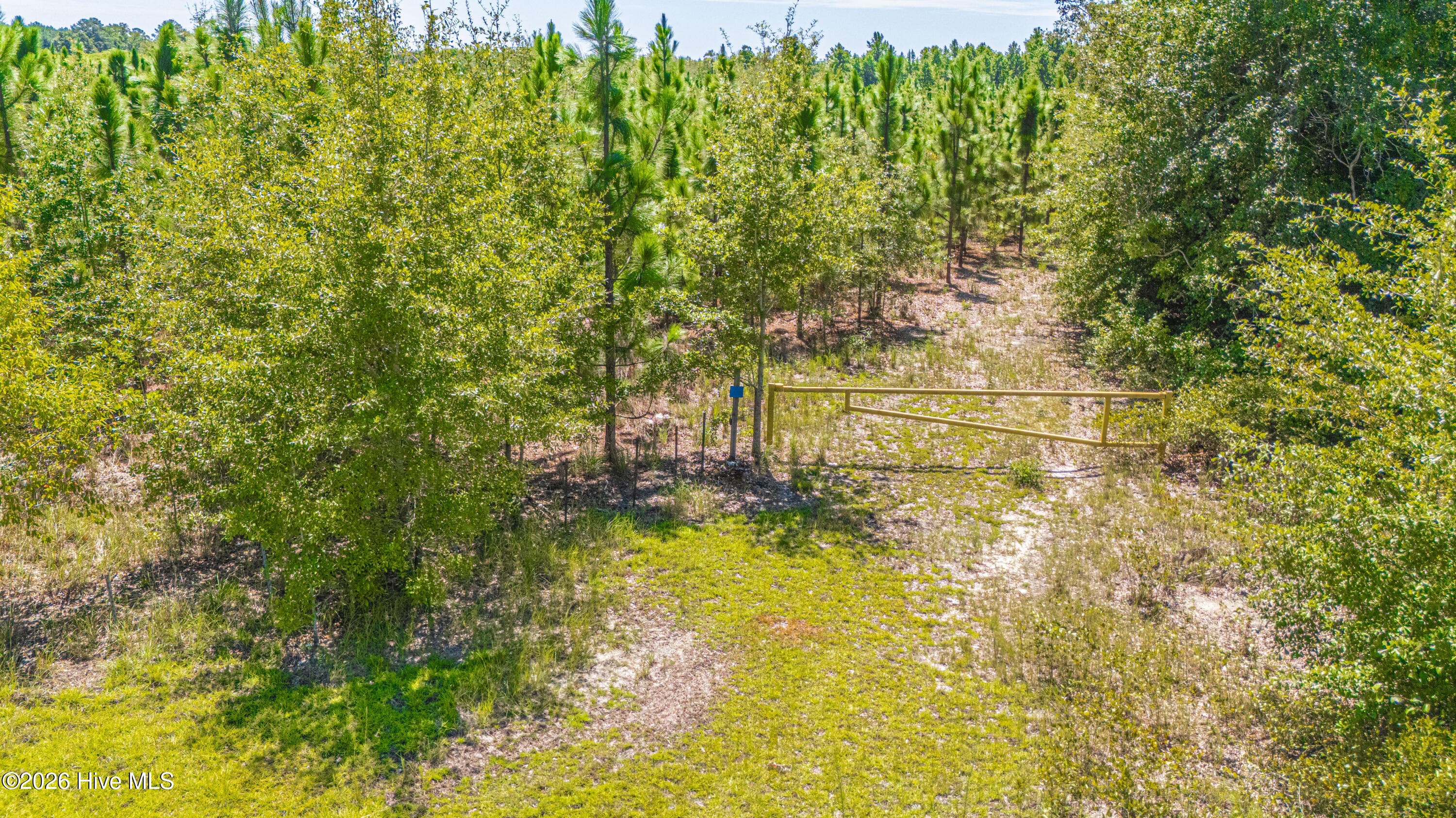 Residential Lot at Tbd Blue Springs Road, Red Springs, NC 28377, photo 7 of 11