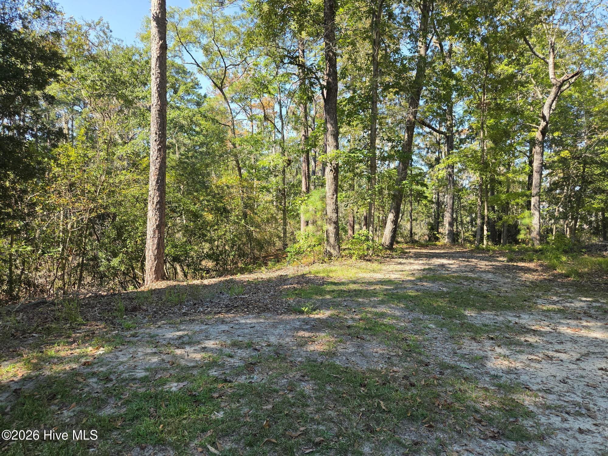 Undeveloped at 321 Bay View Drive, Chocowinity, NC 27817, photo 3 of 12