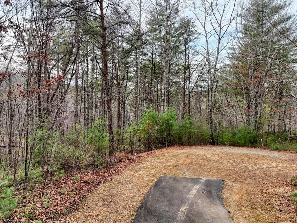 Land at N/A Trillium Heights, Hayesville, NC 28904, photo 10 of 25
