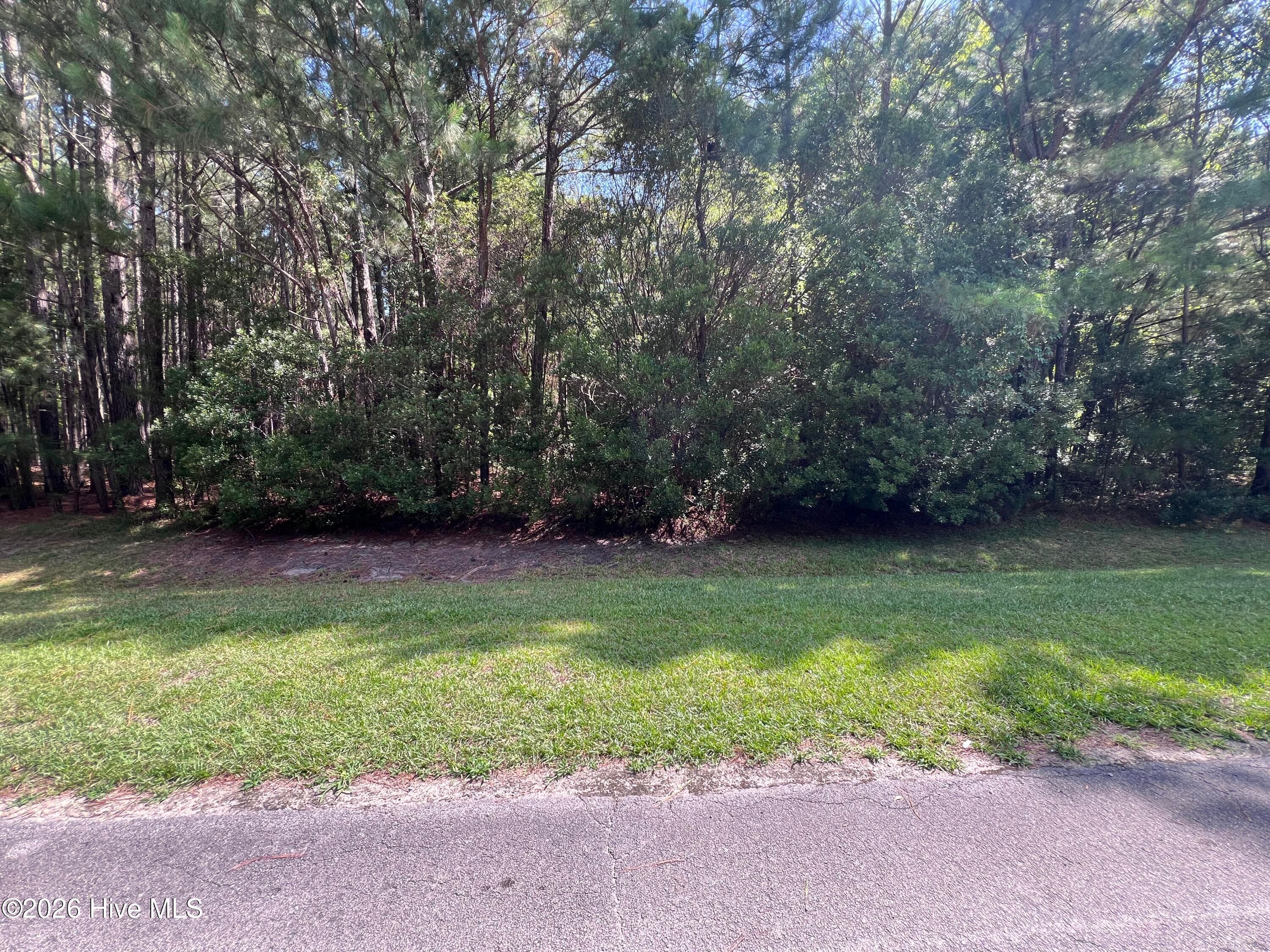 Residential Lot at 42 Windy Point, Belhaven, NC 27810, photo 3 of 6