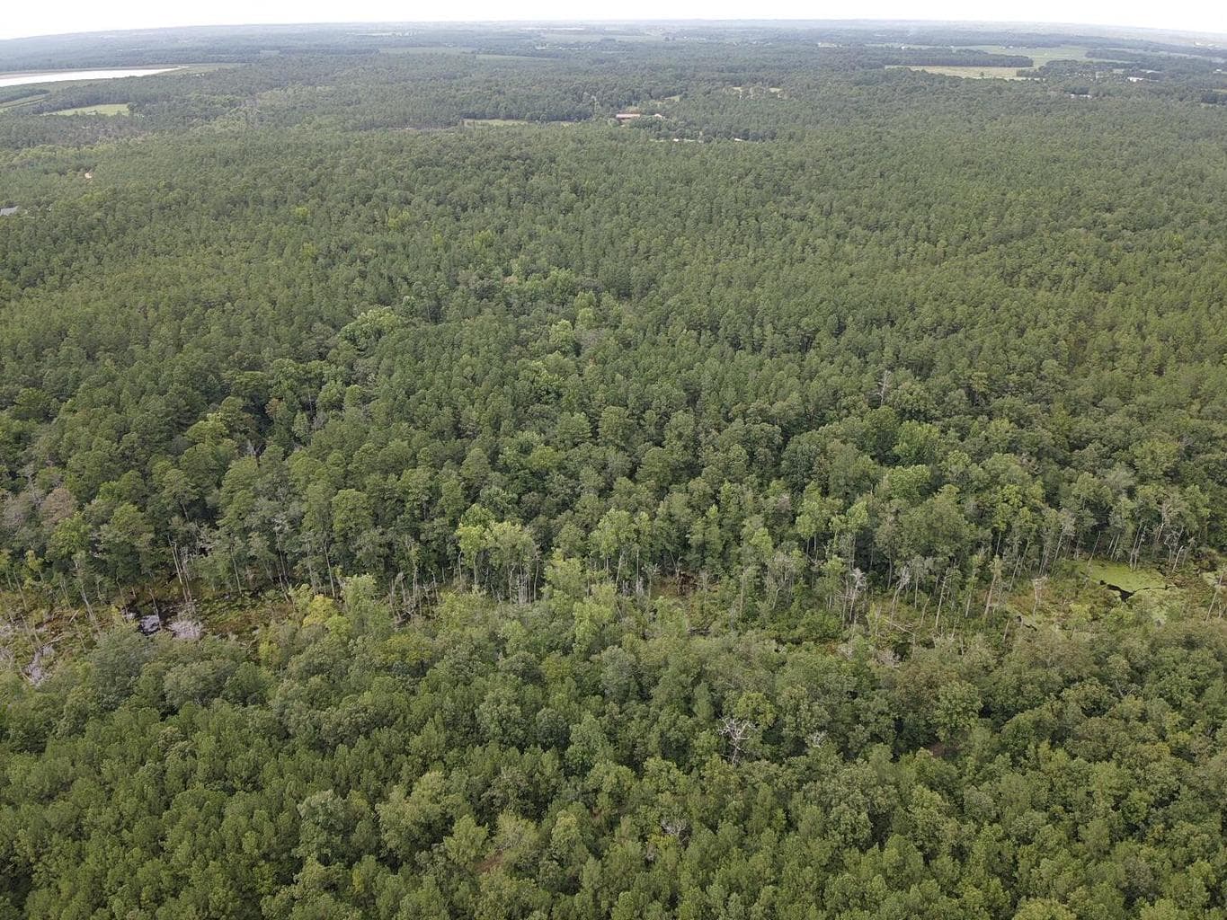 Undeveloped at Tbd Johnston Highway, Trenton, SC 29847, photo 2 of 7