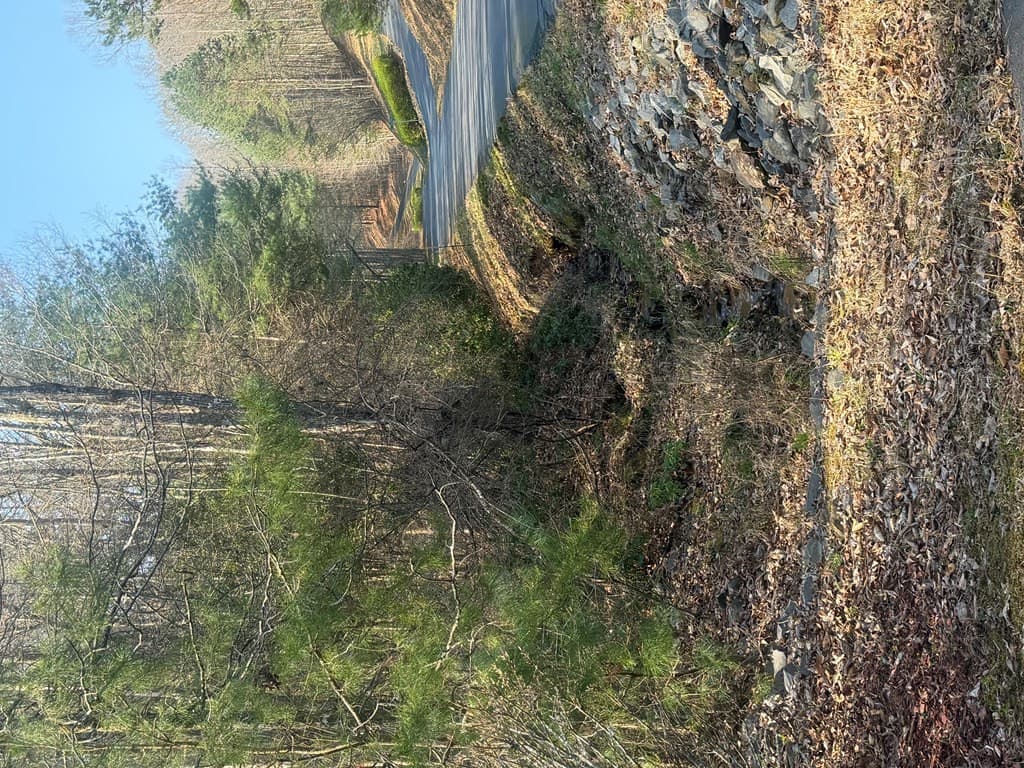 Land at Lot 12 Rainbow Valley Drive, Murphy, NC 28906, photo 11 of 16