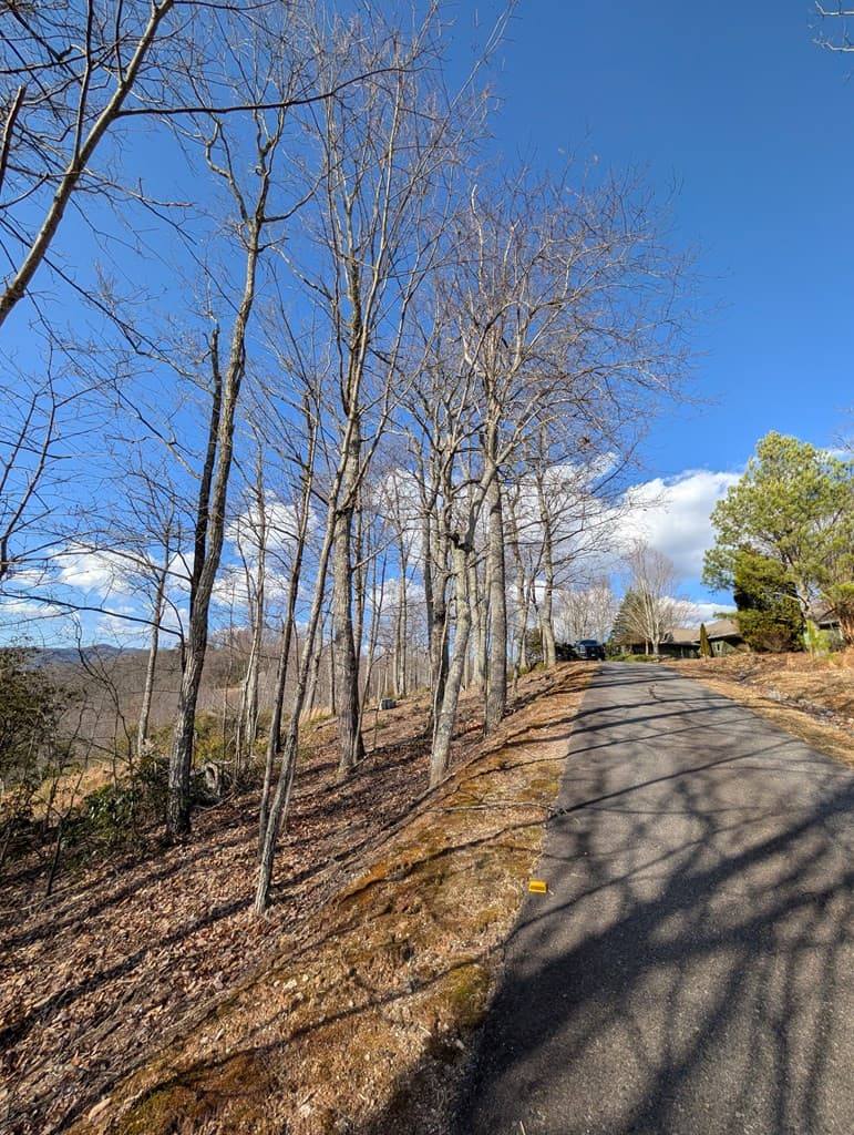 Residential Lot at L-16&17 16 & 17 Summit Drive, Hayesville, NC 28904, Hayesville, photo 25 of 30