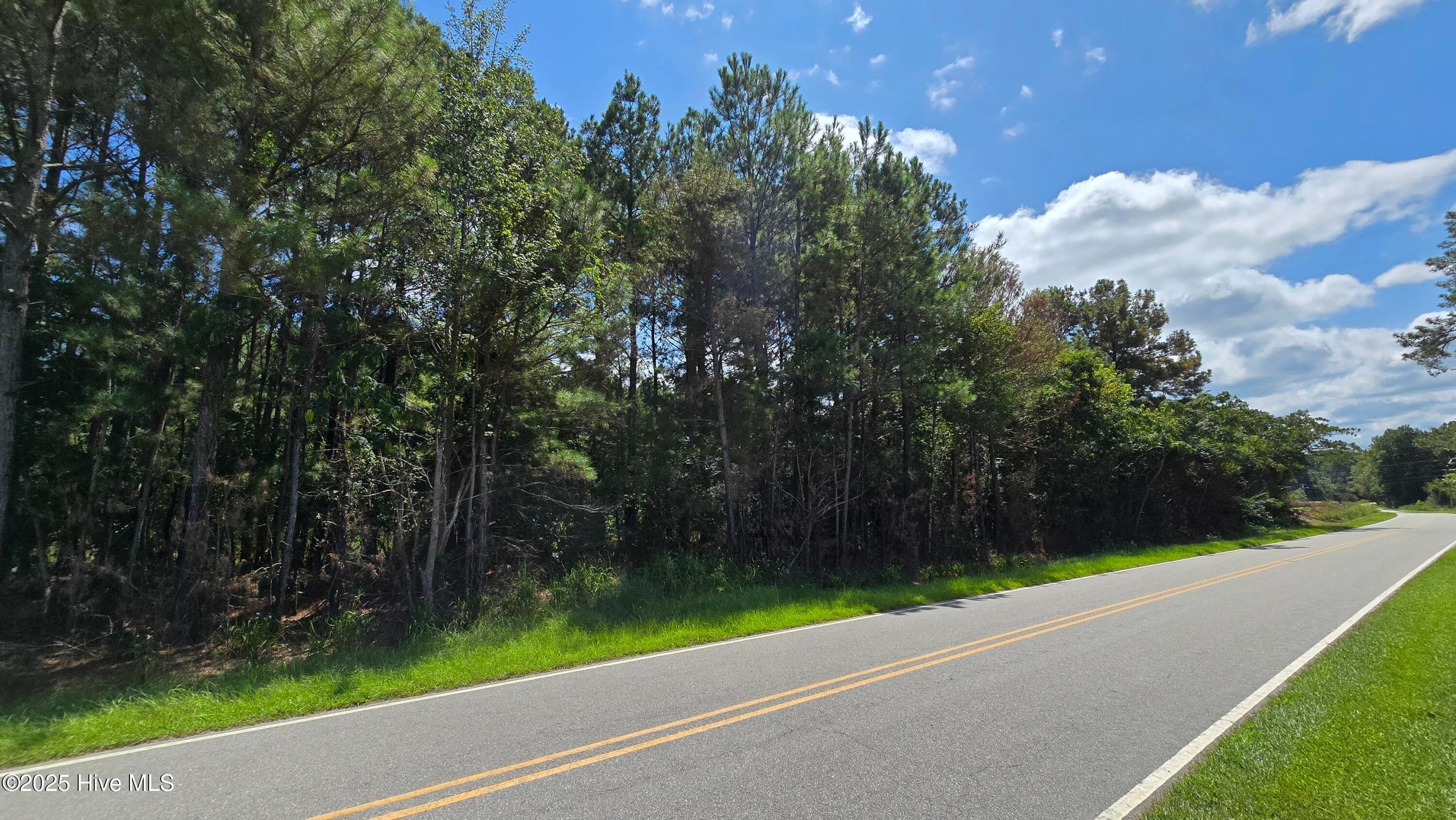 Wooded at 0 Underwood Road, Murfreesboro, NC 27855, photo 5 of 6