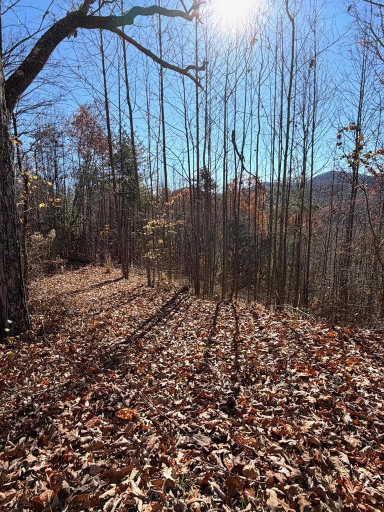Driveway cut in - Lot 13 13 View Ridge Trail, Murphy, NC 28906