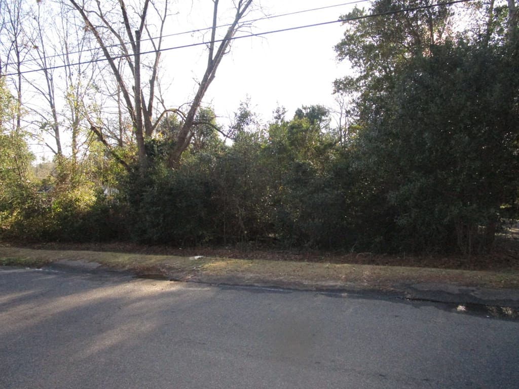 Undeveloped at 2149 NW Veterans Drive, Augusta, GA 30909, photo 2 of 3