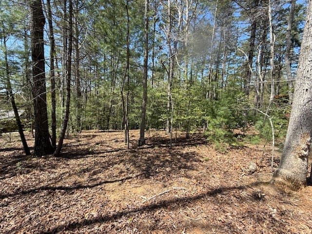 Residential Lot at Lot 2 2 Lynae Lane, Murphy, NC 28906, photo 5 of 5