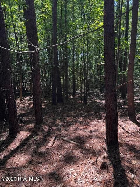 Undeveloped at Lot 1 Dan Road, Robbins, NC 27325, photo 15 of 22