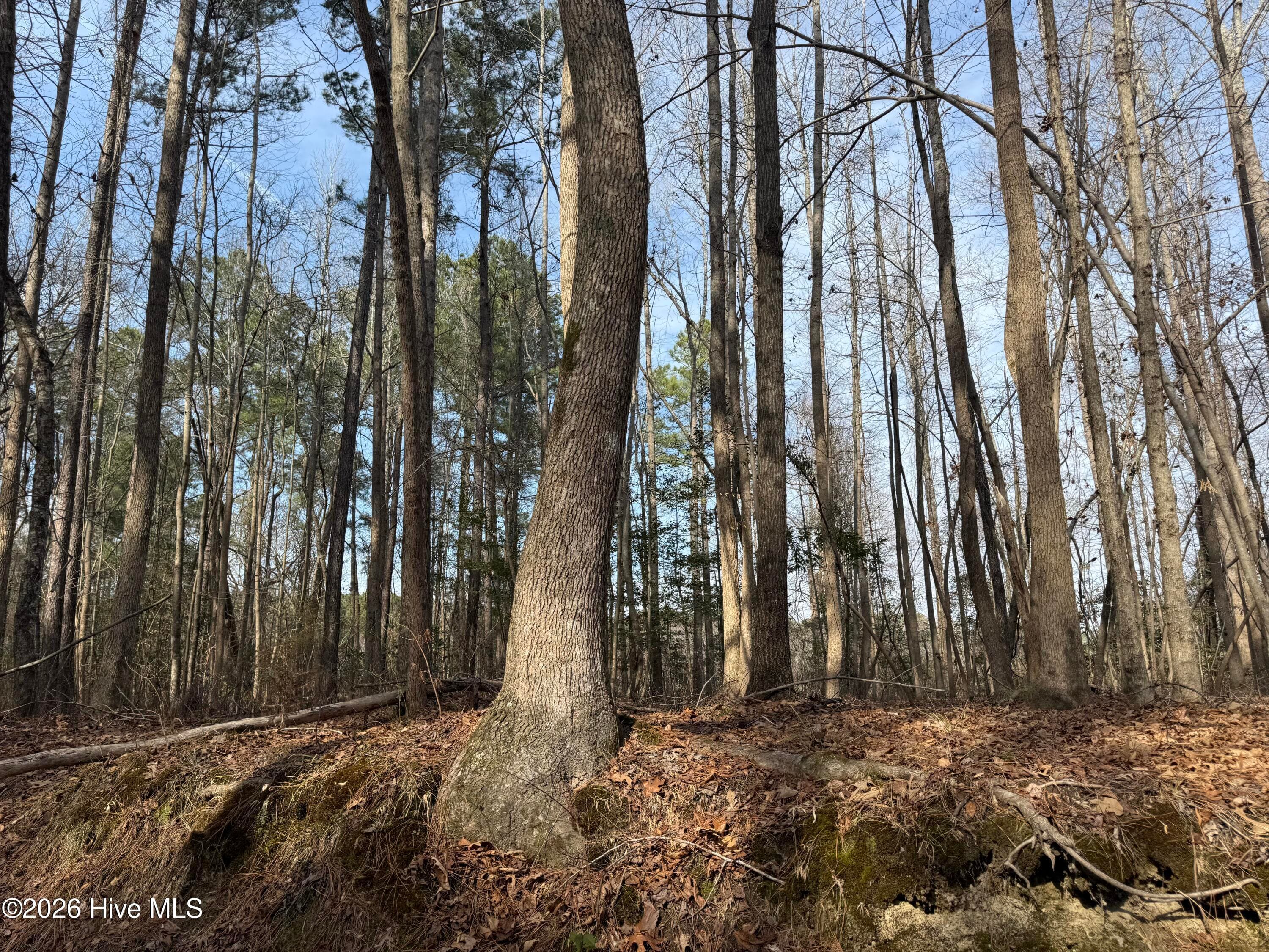 Mixed Use at 269 Creek Road, Bath, NC 27808, photo 15 of 21