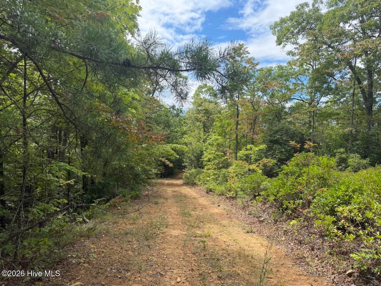 Undeveloped at 760 Cliff Top Trail, Andrews, NC 28901, photo 5 of 14