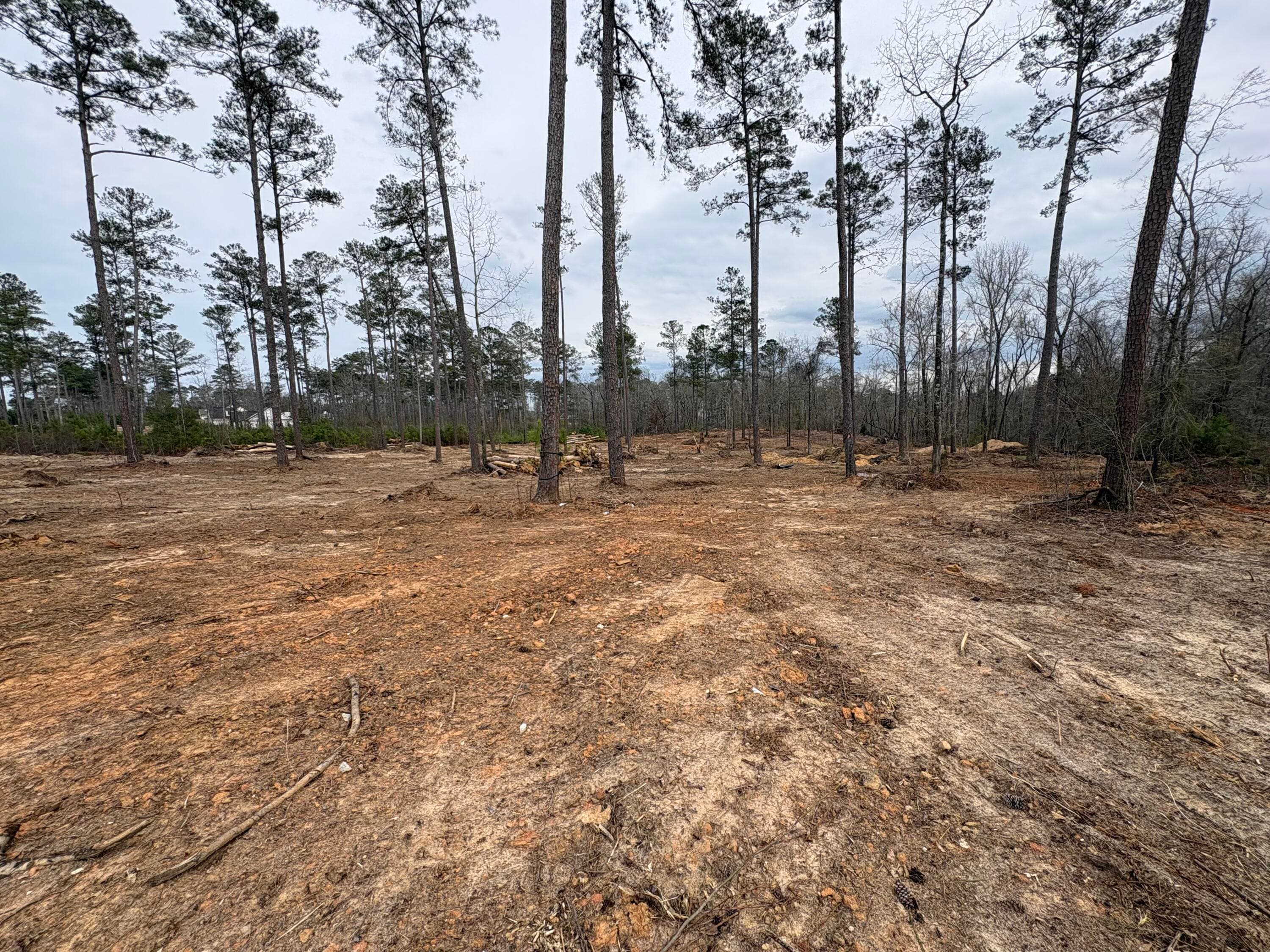 Residential Lot at 5672 White Oak Road, Appling, GA 30802, photo 4 of 8