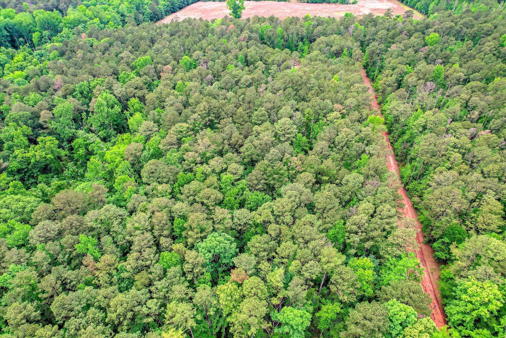 Residential Lot at 1622 Hinton Wilson Road, Harlem, GA 30814, photo 13 of 16