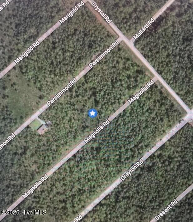 Residential Lot at 322 Magnolia Road, Boiling Spring Lakes, NC 28461, photo 2 of 2