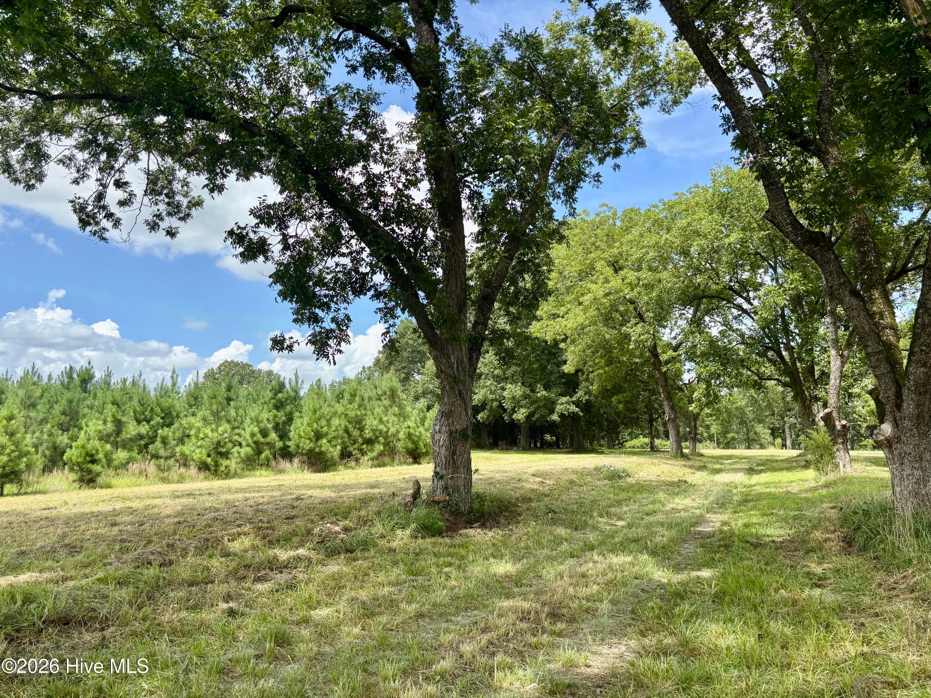 Undeveloped at Tbd Roberdel School Road, Rockingham, NC 28379, photo 16 of 41