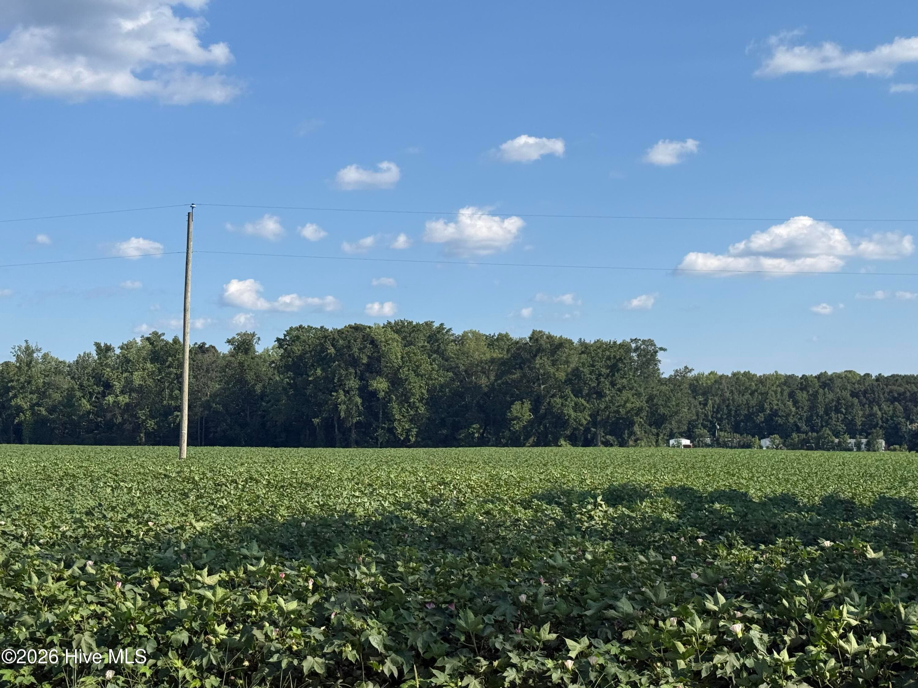Farm at 3085 Fire Dept Road, Williamston, NC 27892, photo 2 of 2