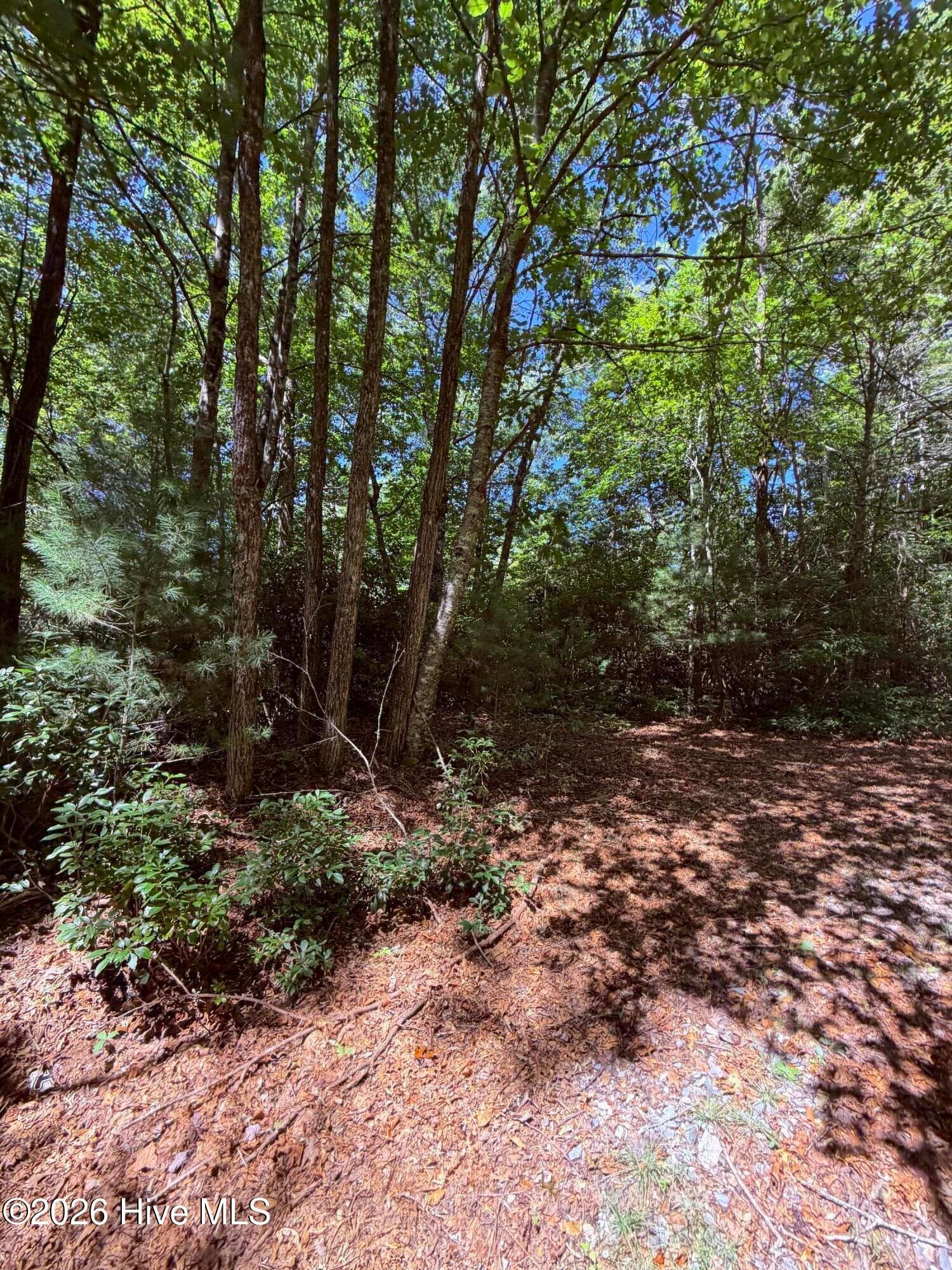 Wooded at Lot 12 Holly Ridge Drive, Topton, NC 28781, photo 2 of 5