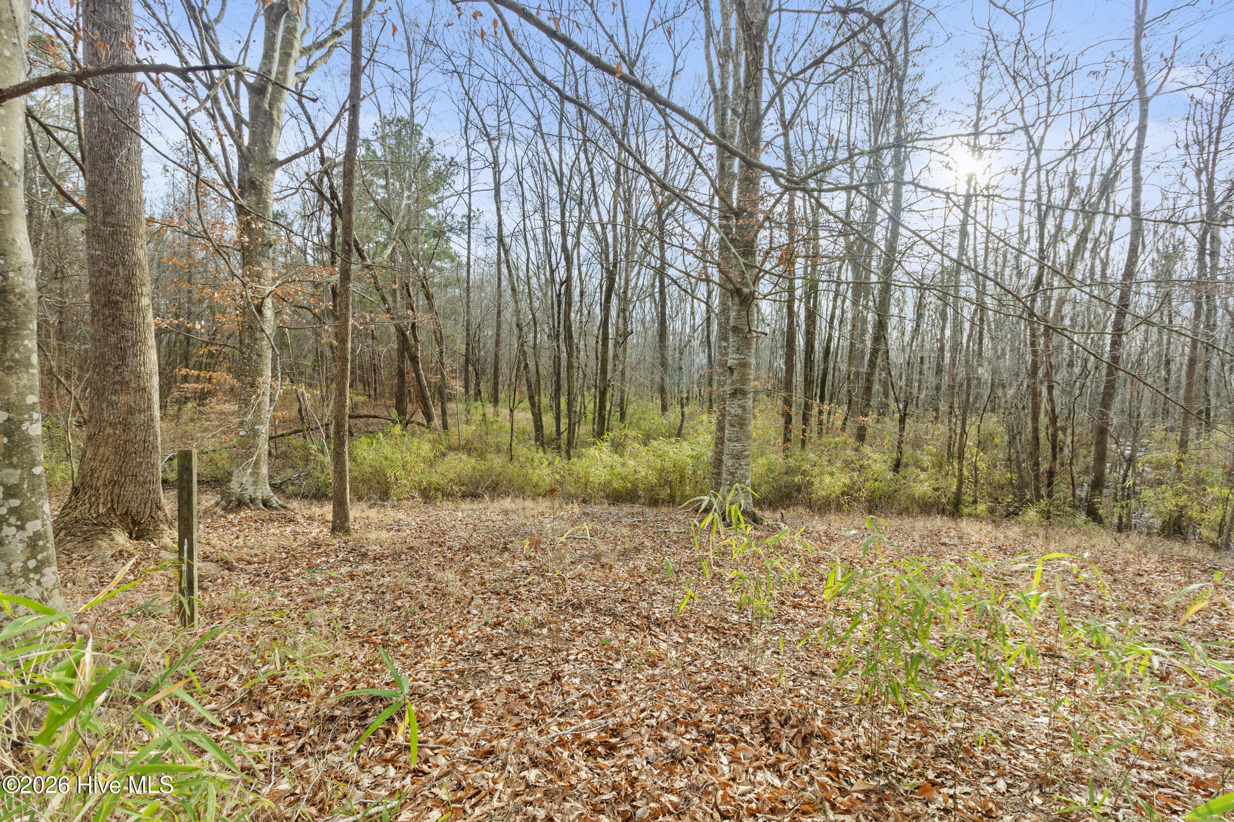 Undeveloped at 2711 Old Airport Road, New Bern, NC 28562, photo 9 of 23