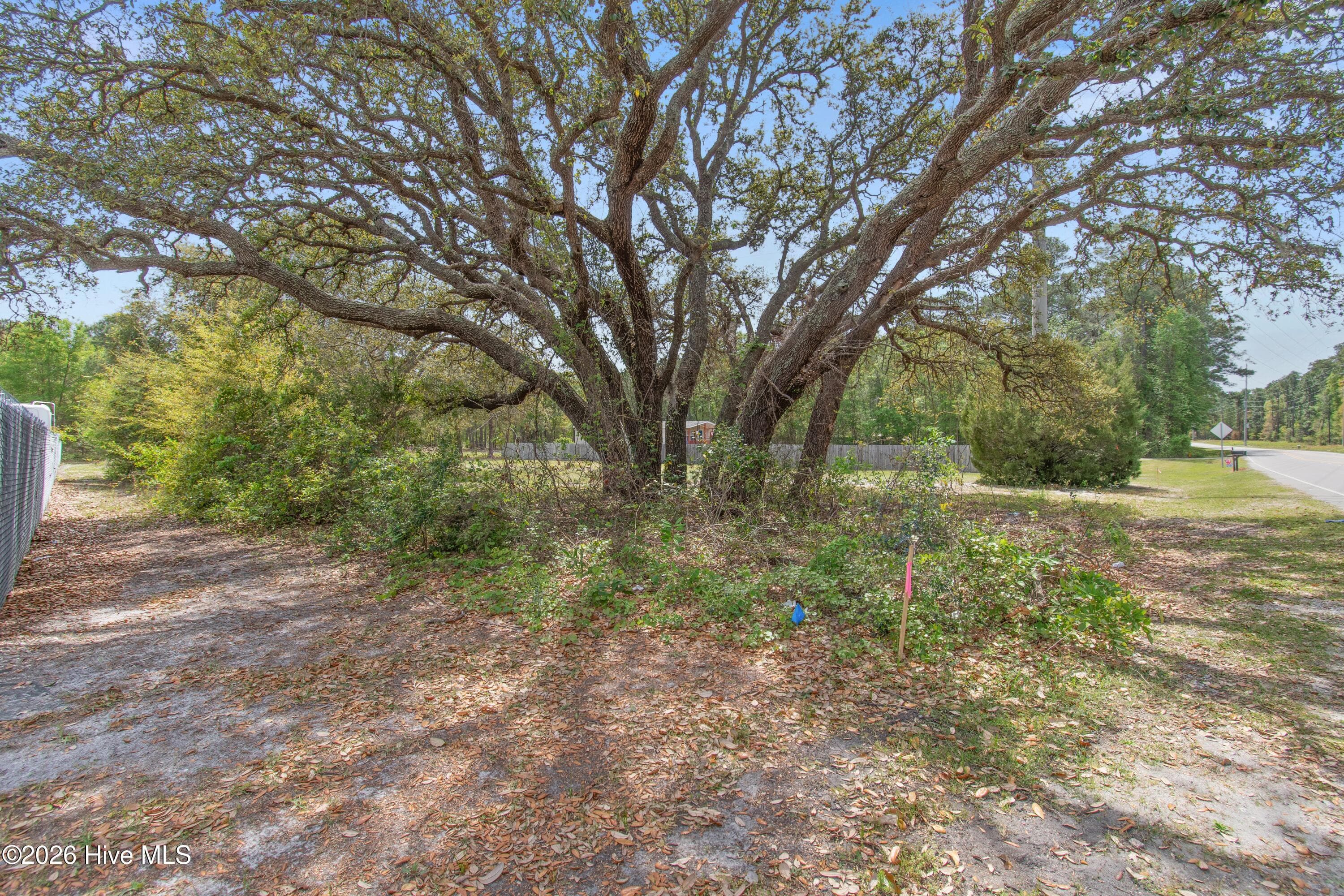 Unimproved Land at 2414 Old Ferry Connection SW, Supply, NC 28462, photo 14 of 15