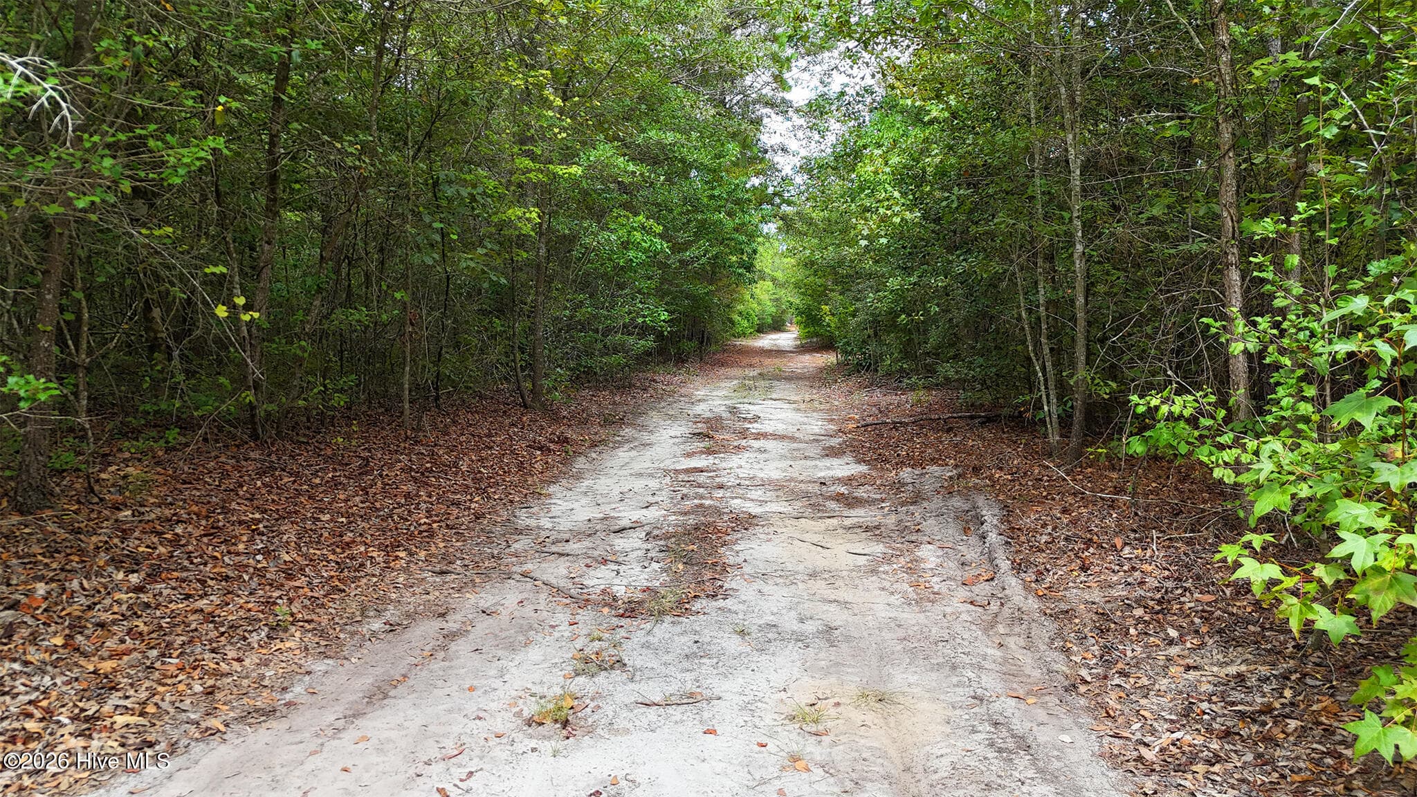 Mixed Use at 5 Bull Tail Road, Wallace, NC 28466, photo 12 of 21