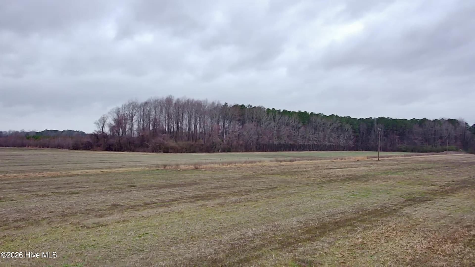 Mixed Use at 269 Creek Road, Bath, NC 27808, photo 2 of 21