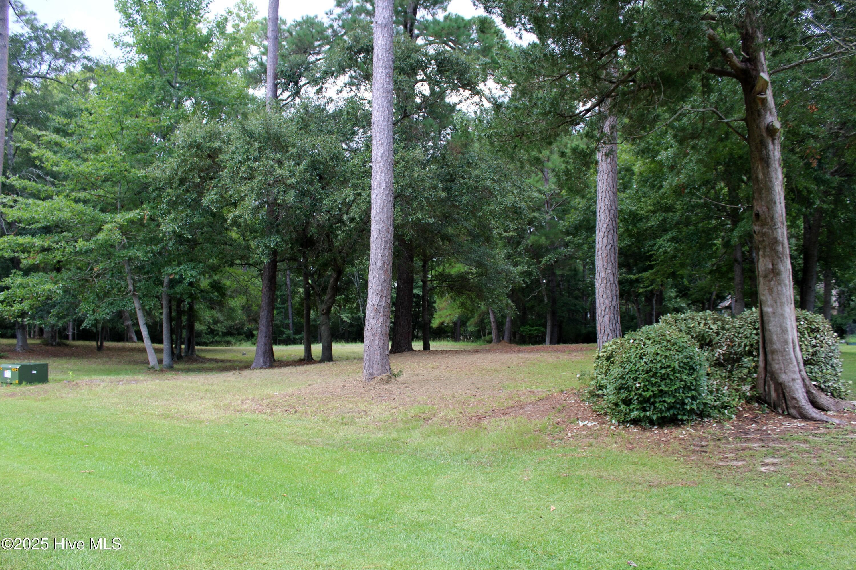 Residential Lot at 240 Genoes Point Road SW, Supply, NC 28462, photo 2 of 17