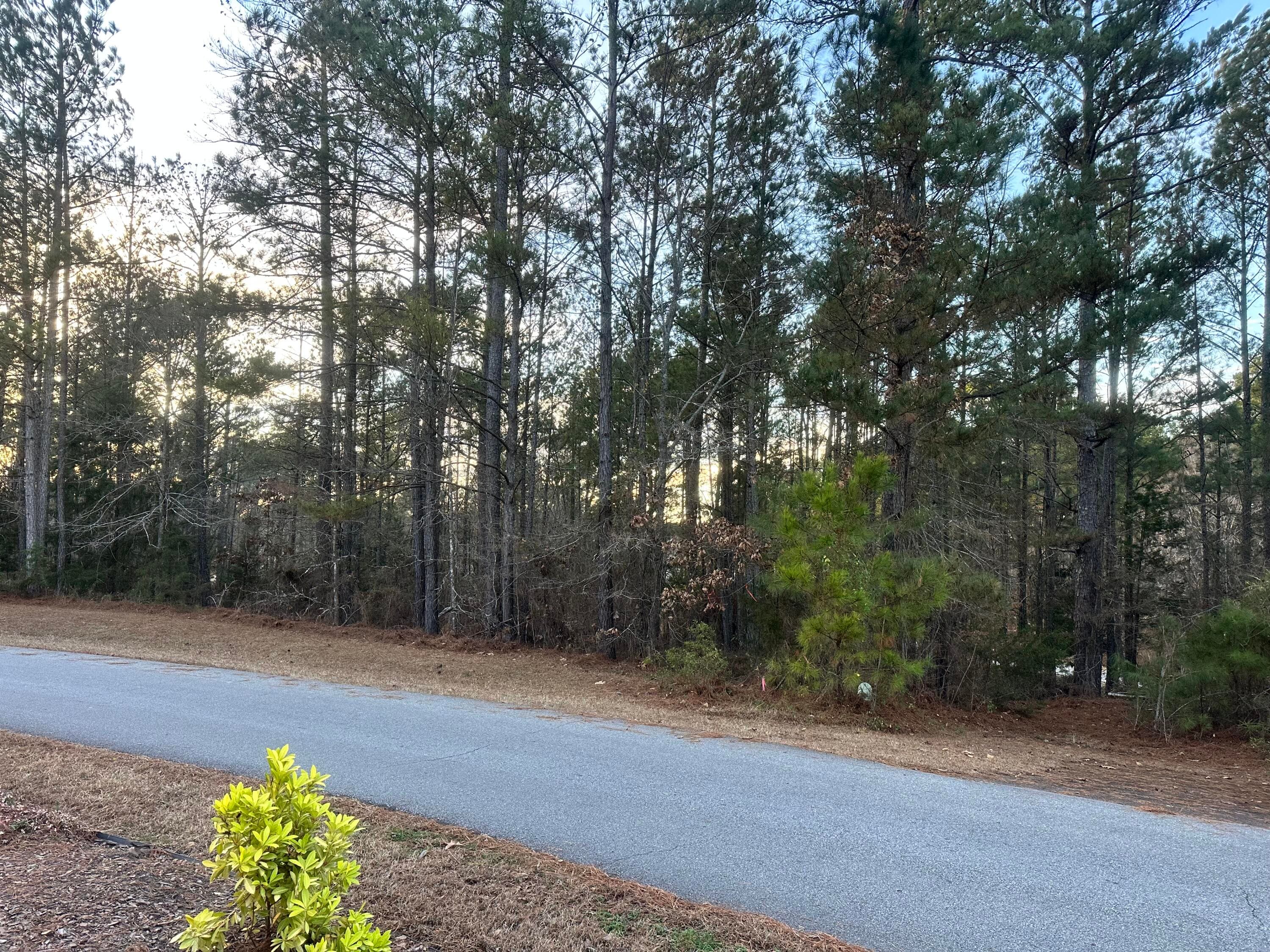 Undeveloped at 101 Bereau Drive, McCormick, SC 29835, photo 6 of 9