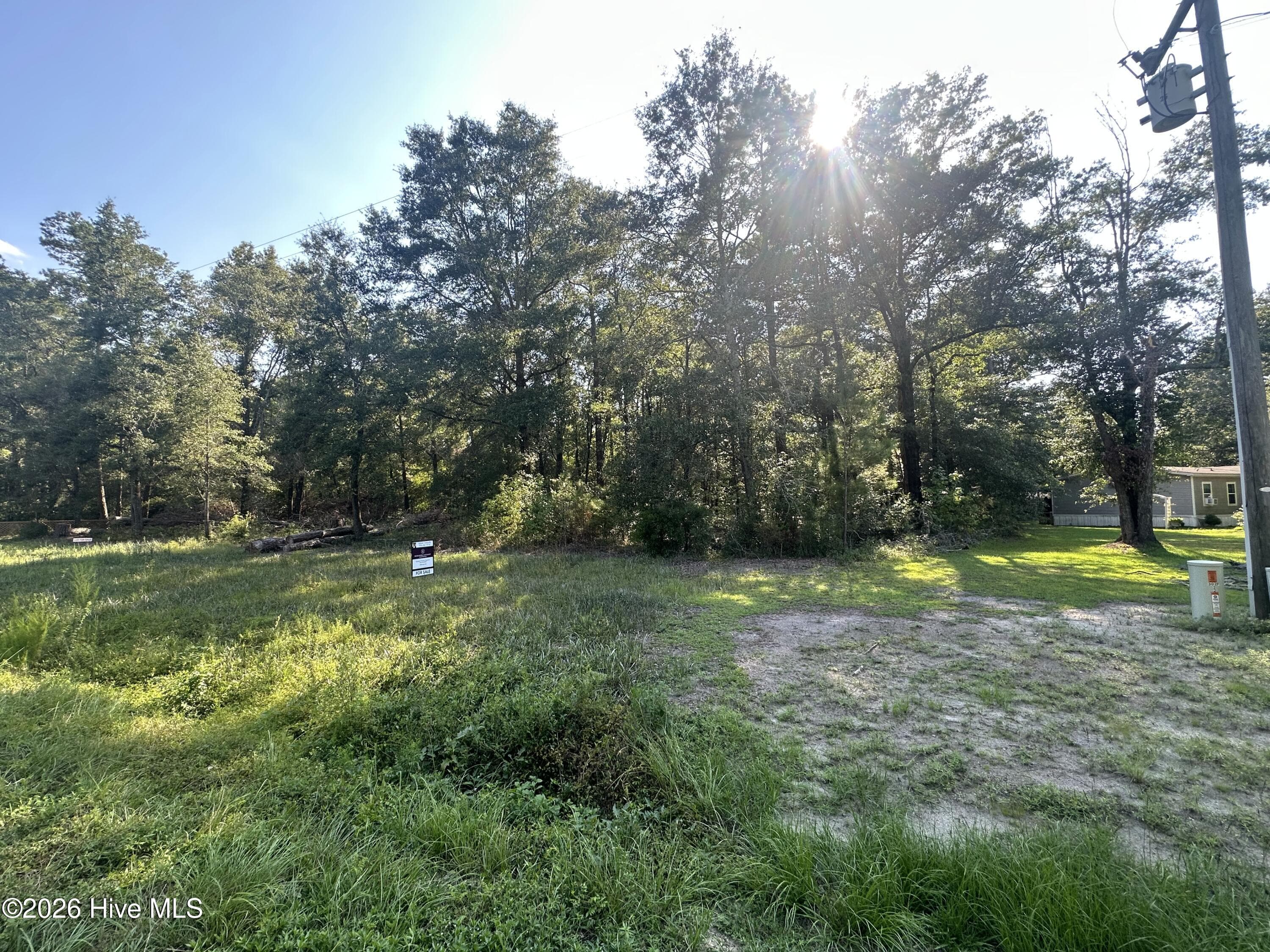 Residential Lot at 3 Ivanhoe Road, Ivanhoe, NC 28447, photo 4 of 12