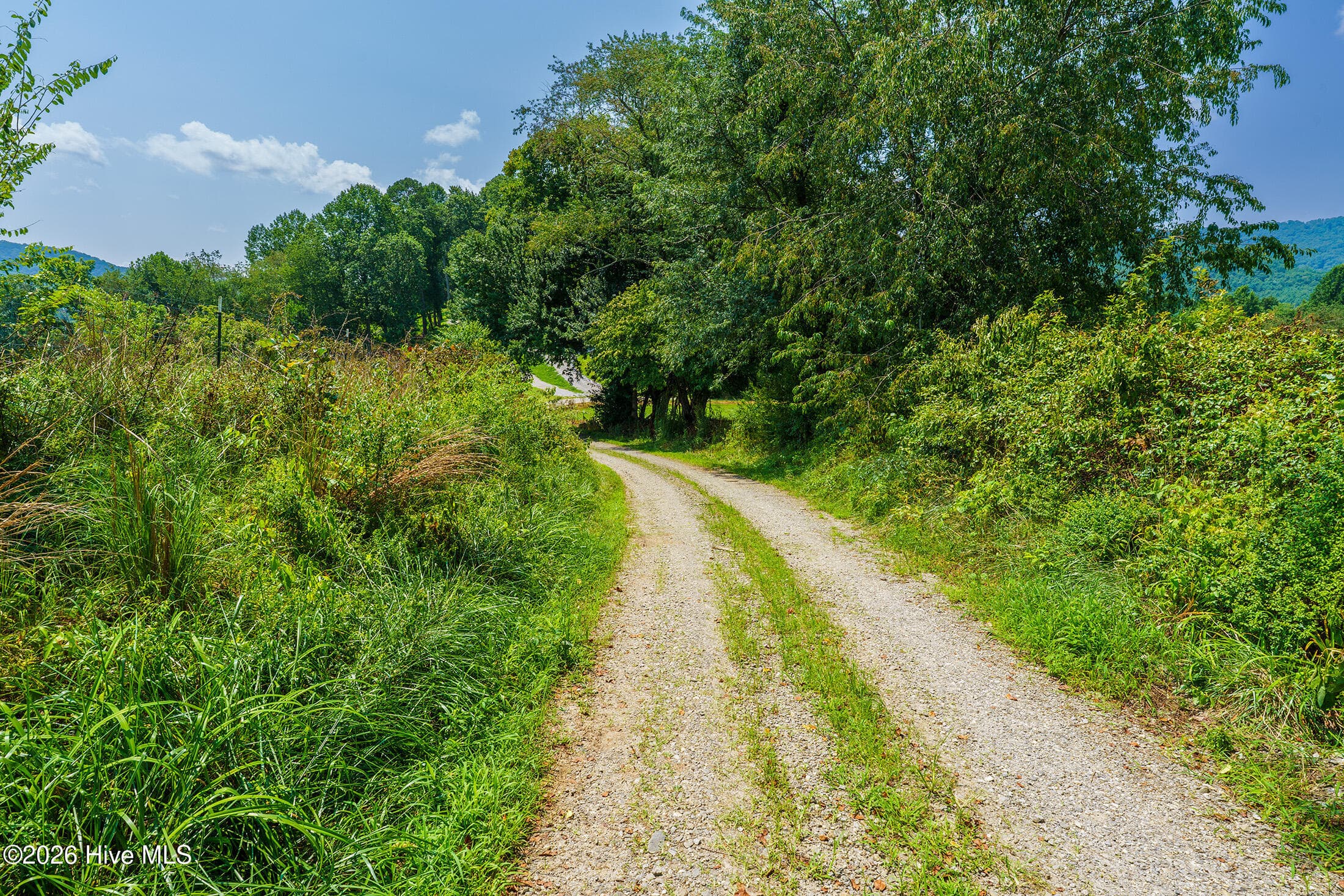 Agriculture at 51.20 Ac Bethabara Road, Hayesville, NC 28904, photo 12 of 17