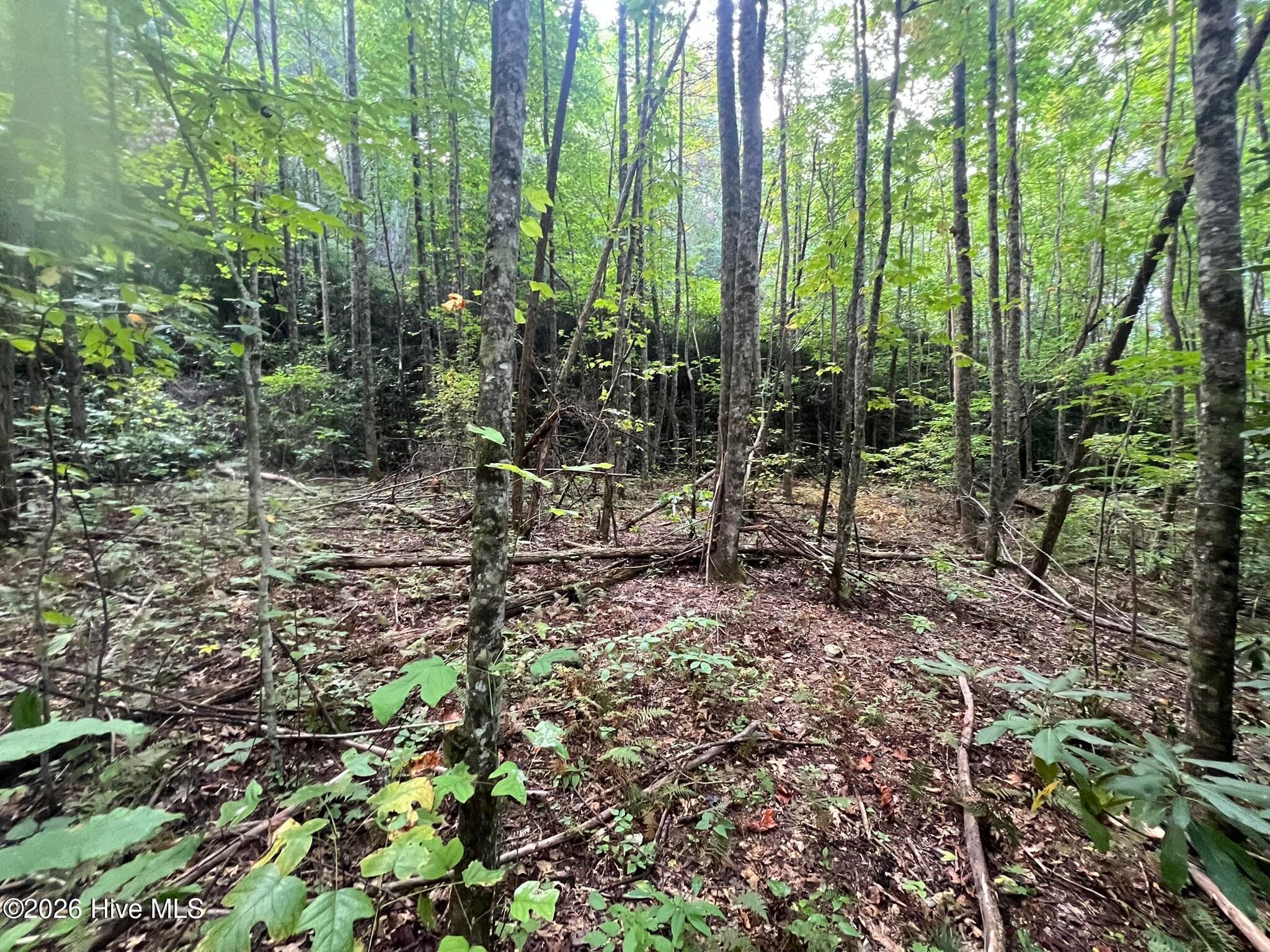 00 Collett Creek Road, Andrews, NC 28901