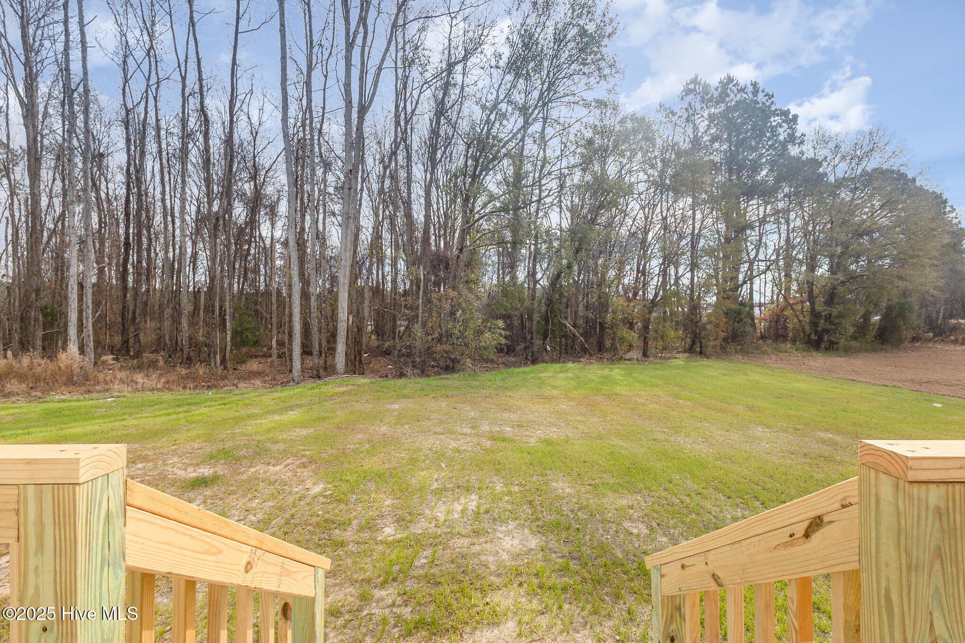 Single Family Residence at 83 Tuskeegee Drive, Smithfield, NC 27577, photo 127 of 153