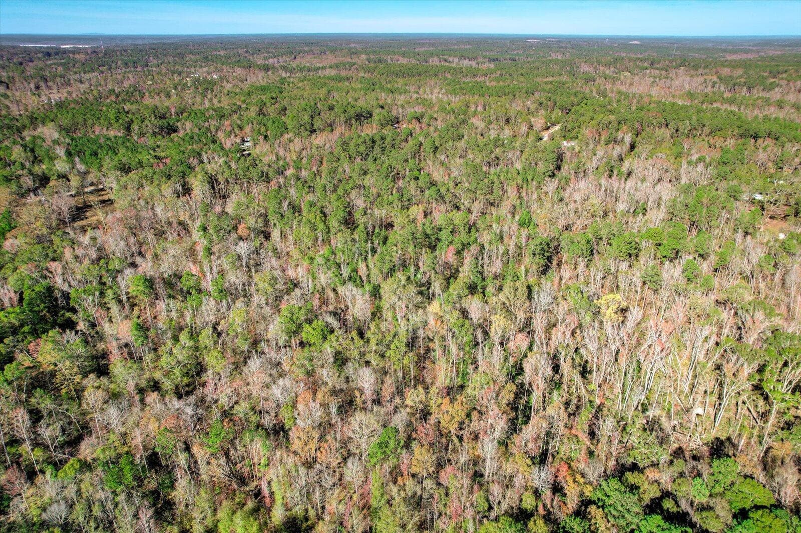 Undeveloped at A 000 Wrightsboro Road, Harlem, GA 30814, photo 19 of 22