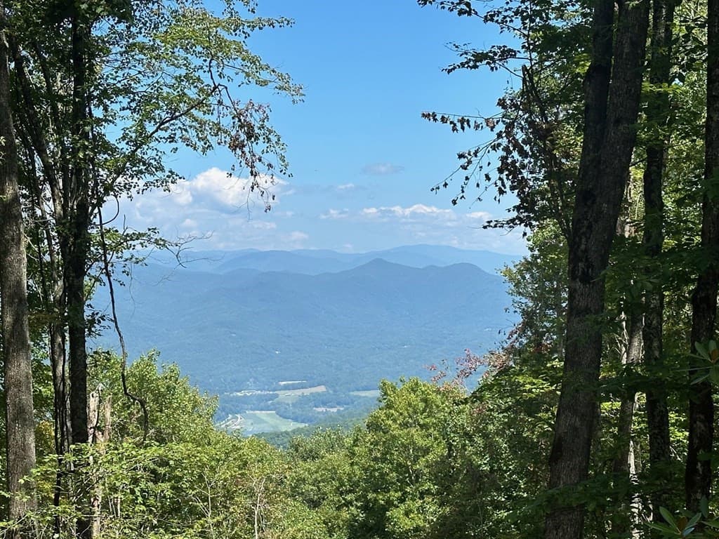 Land at 00 E Alarka Road, Bryson City, NC 28713, photo 10 of 28