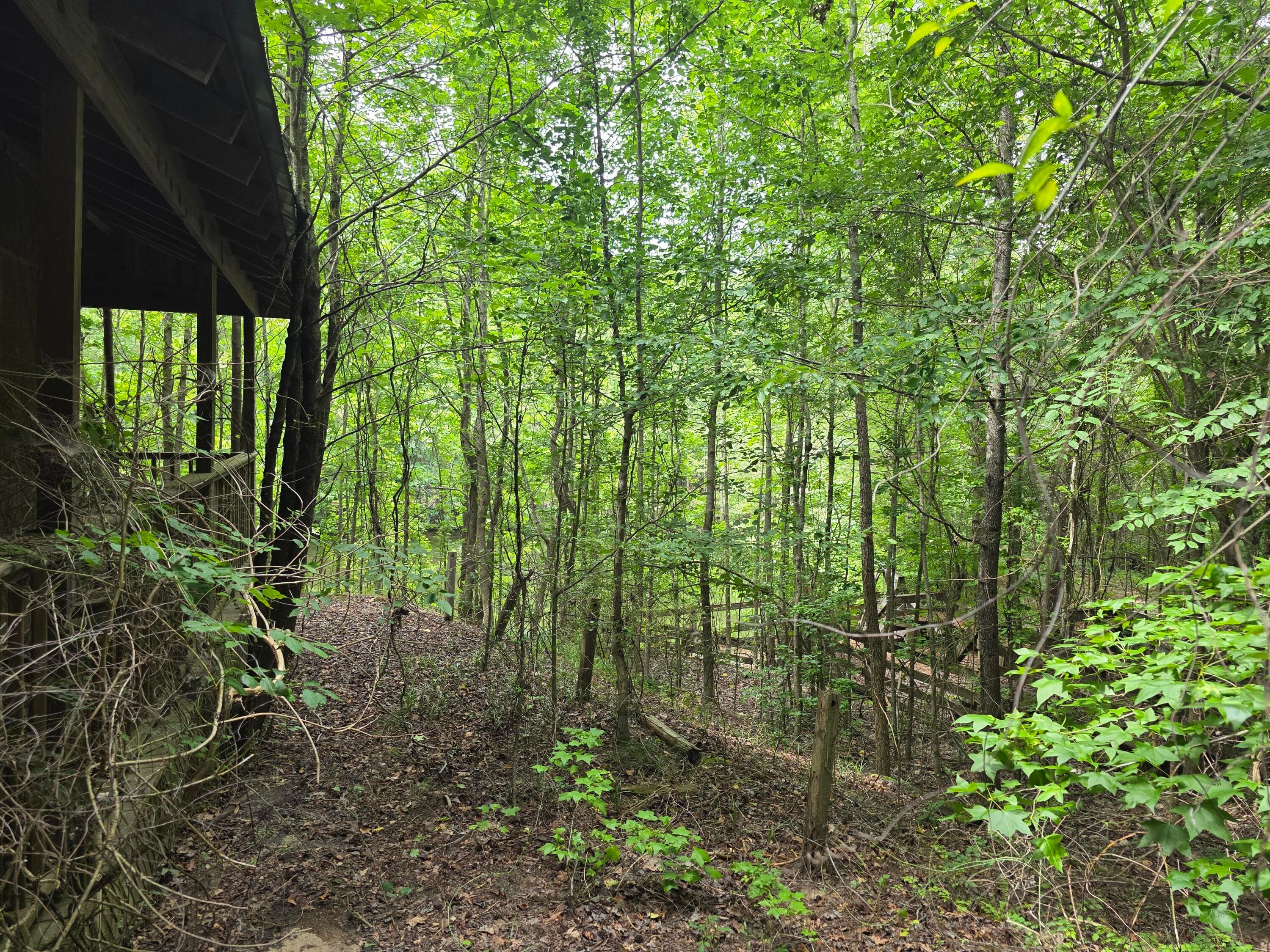 Undeveloped at 2031 Mcdade Road, Hephzibah, GA 30815, photo 3 of 16