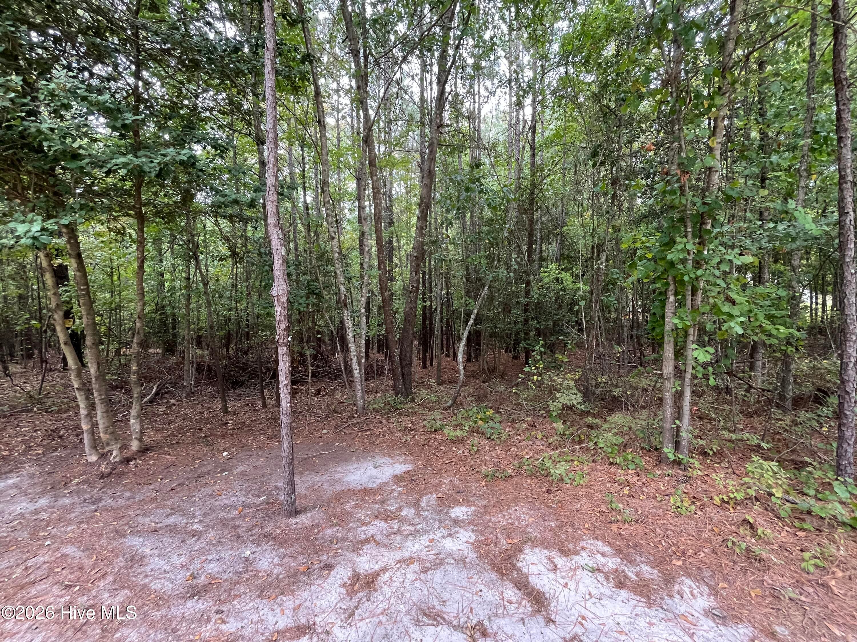 Residential Lot at 410 5 Bingham Street, Carthage, NC 28327, photo 6 of 10