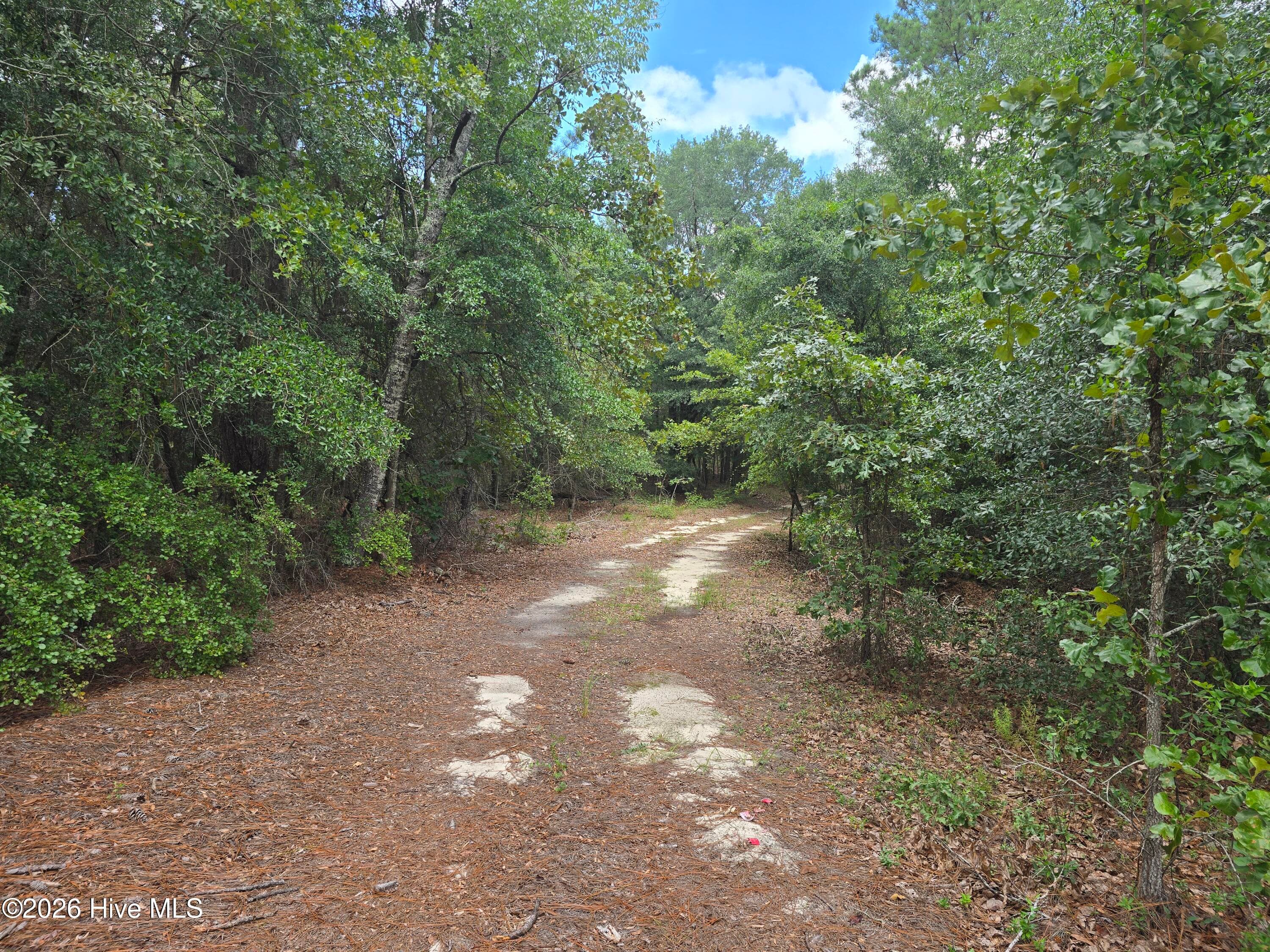 Mixed Use at 317 R J Johnson Road, Allendale, SC 29810, photo 5 of 8